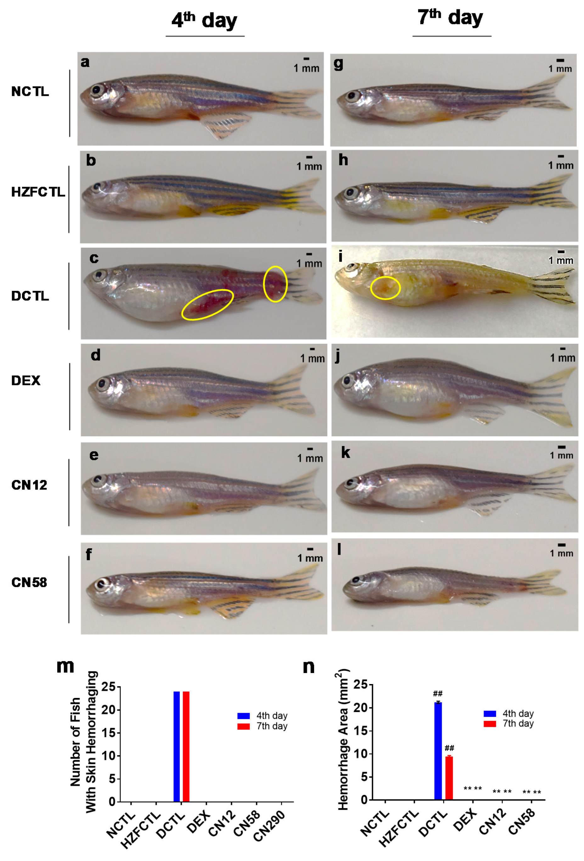 Molecules 25 05091 g008