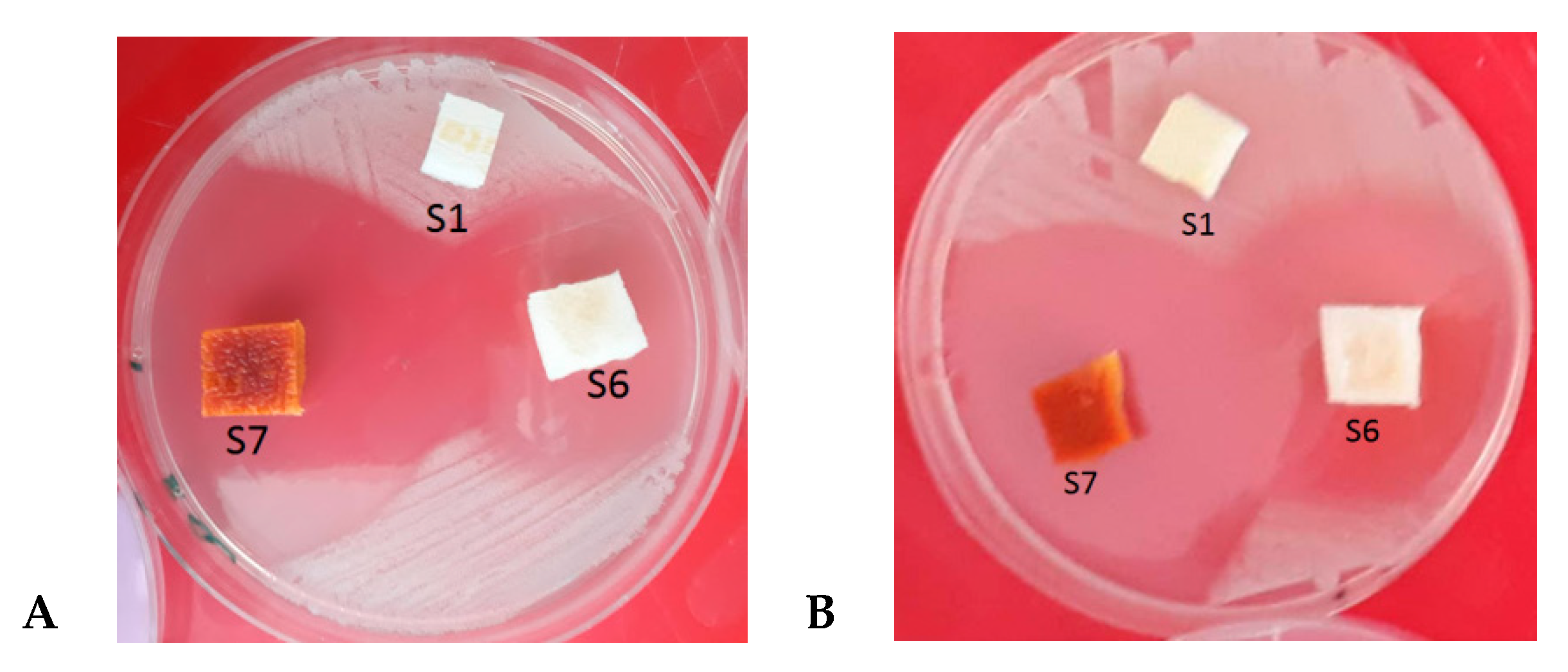 Molecules 25 05096 g006 Molecules 25 05096 g006