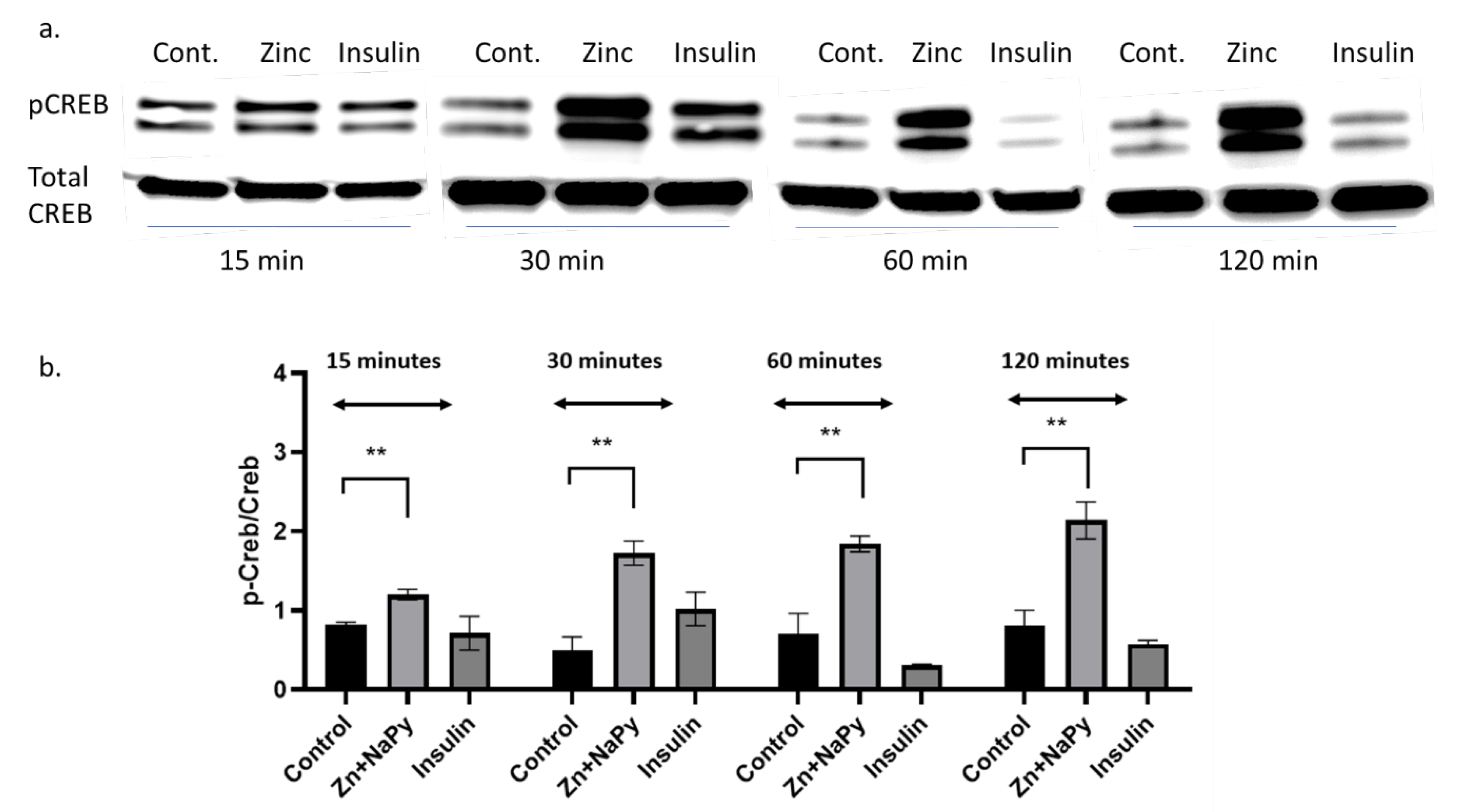 Molecules 25 05098 g006