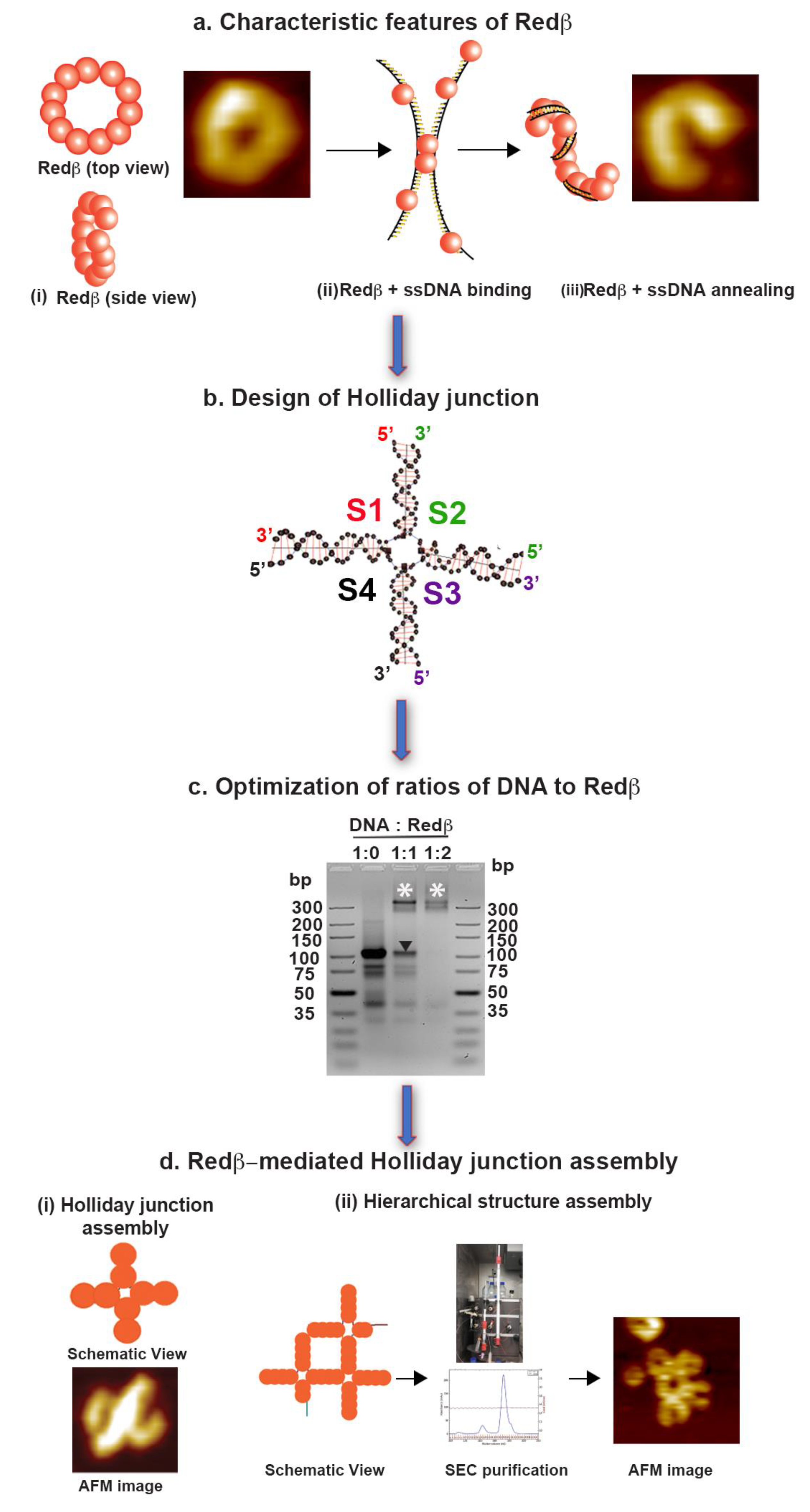 Molecules 25 05099 g001