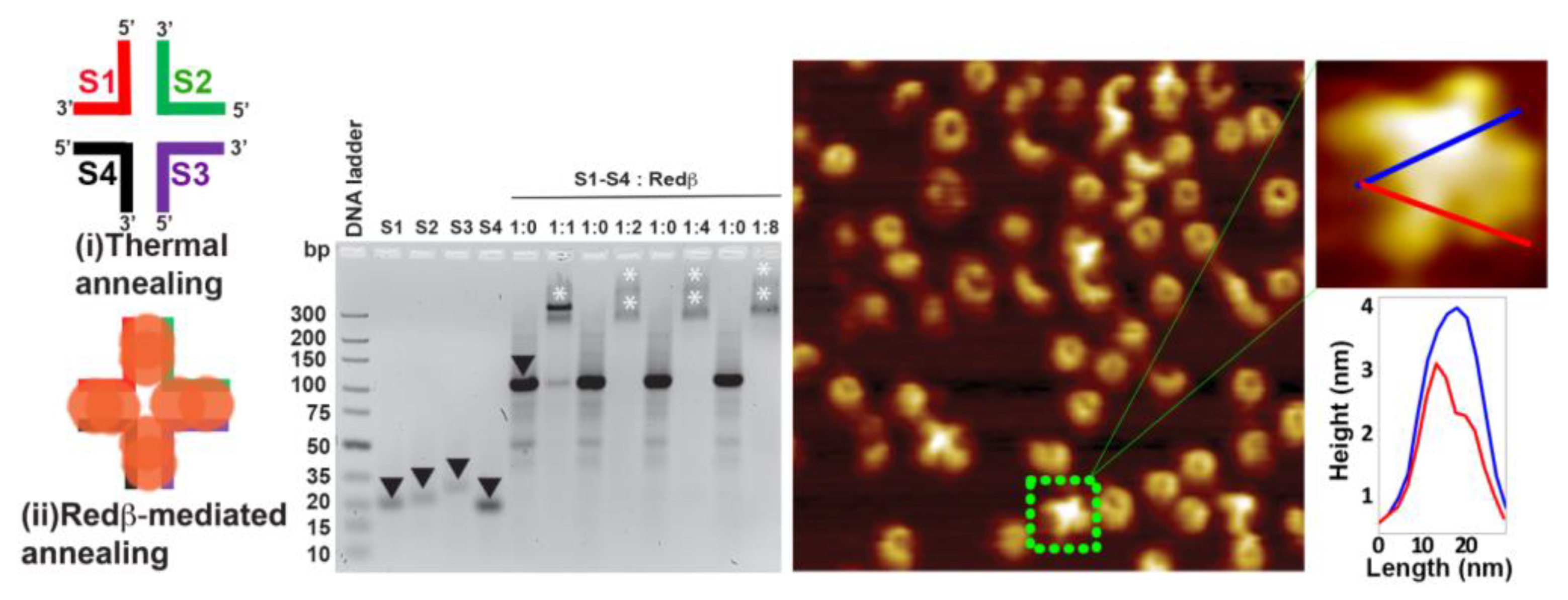 Molecules 25 05099 g002