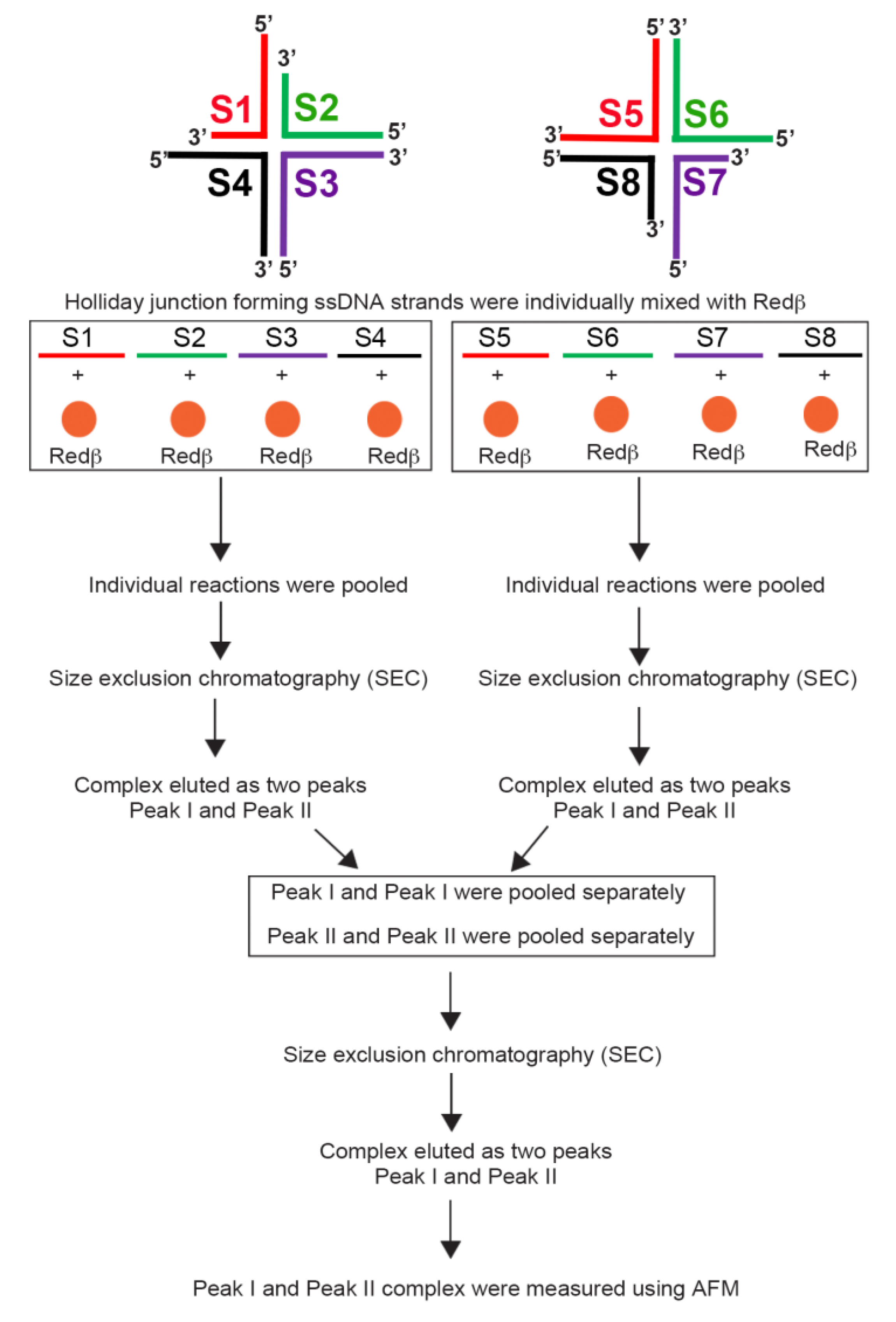 Molecules 25 05099 g005