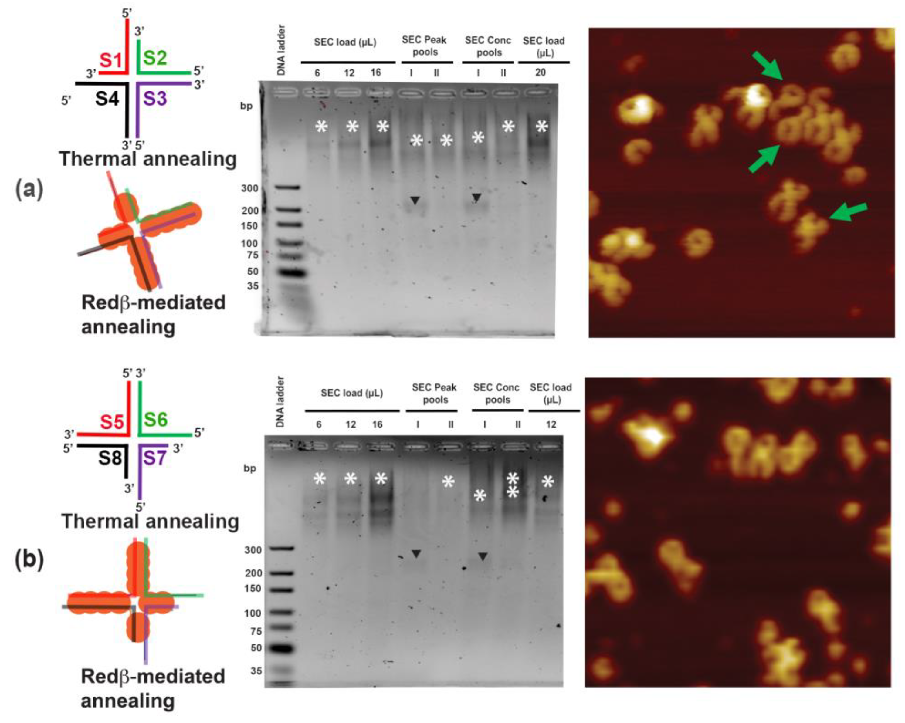 Molecules 25 05099 g006