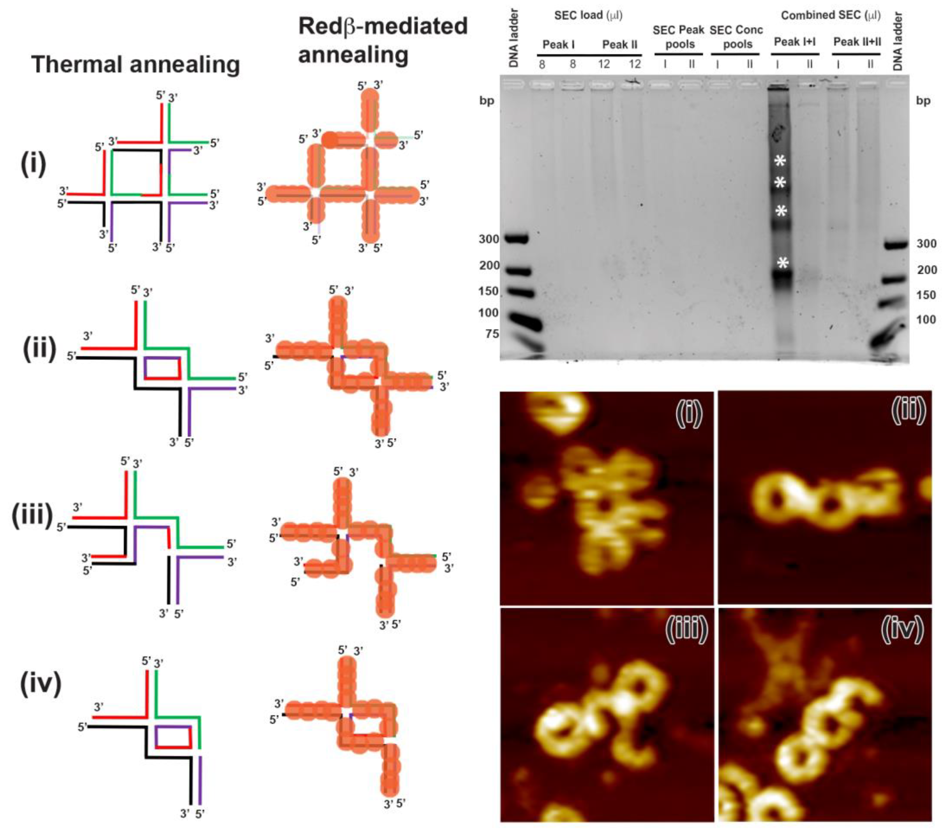 Molecules 25 05099 g007