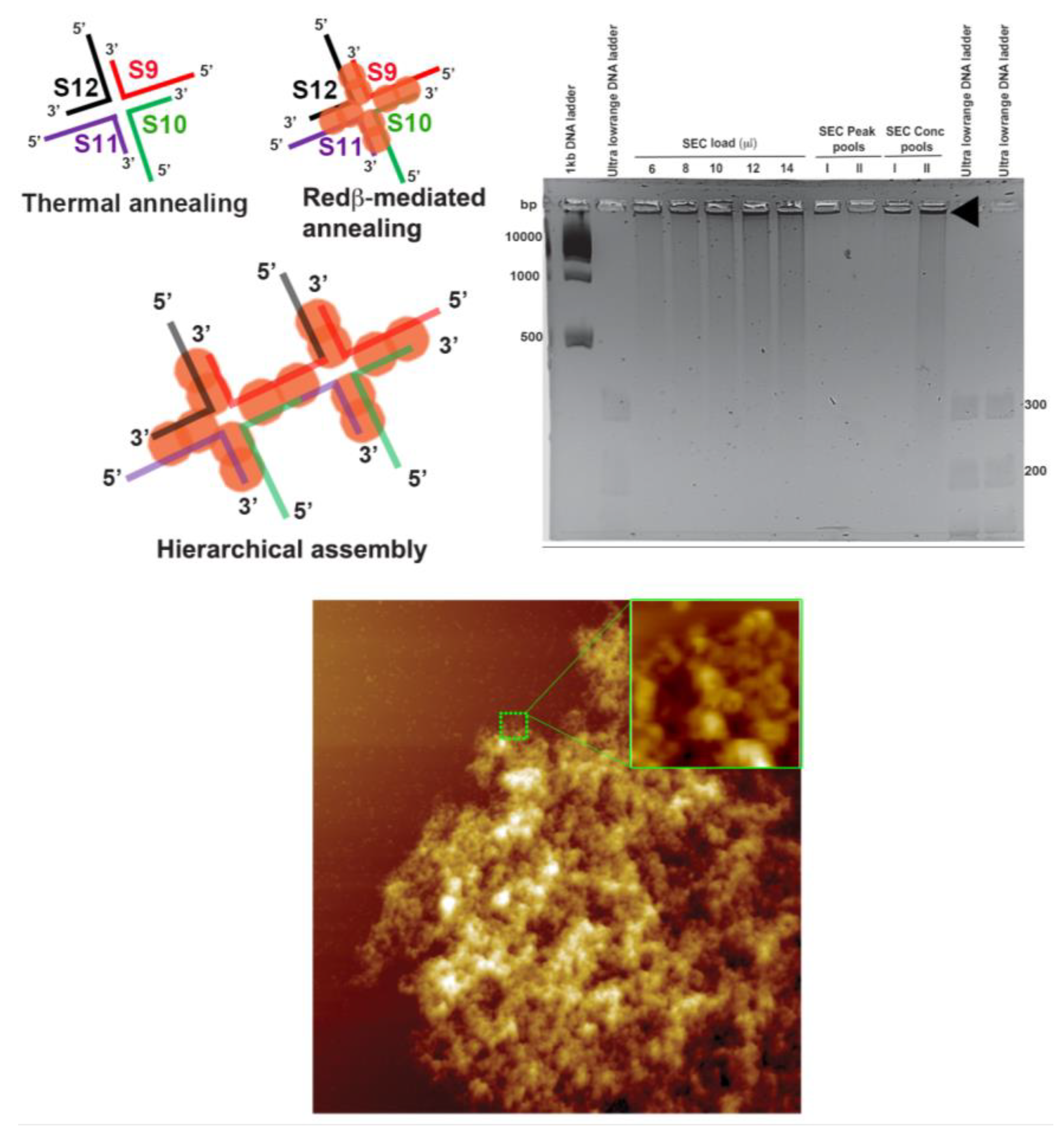 Molecules 25 05099 g008