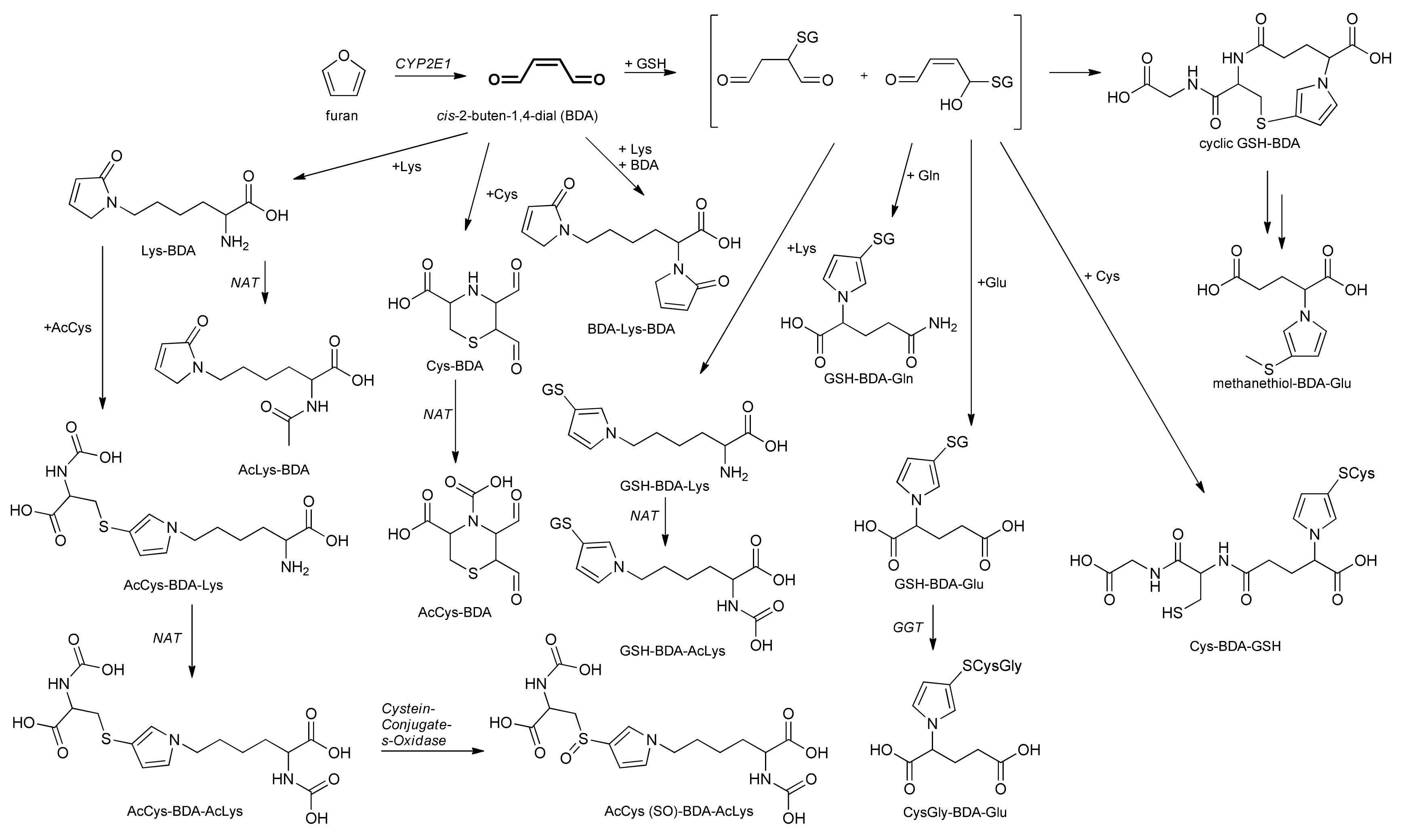 Molecules 25 05104 g010