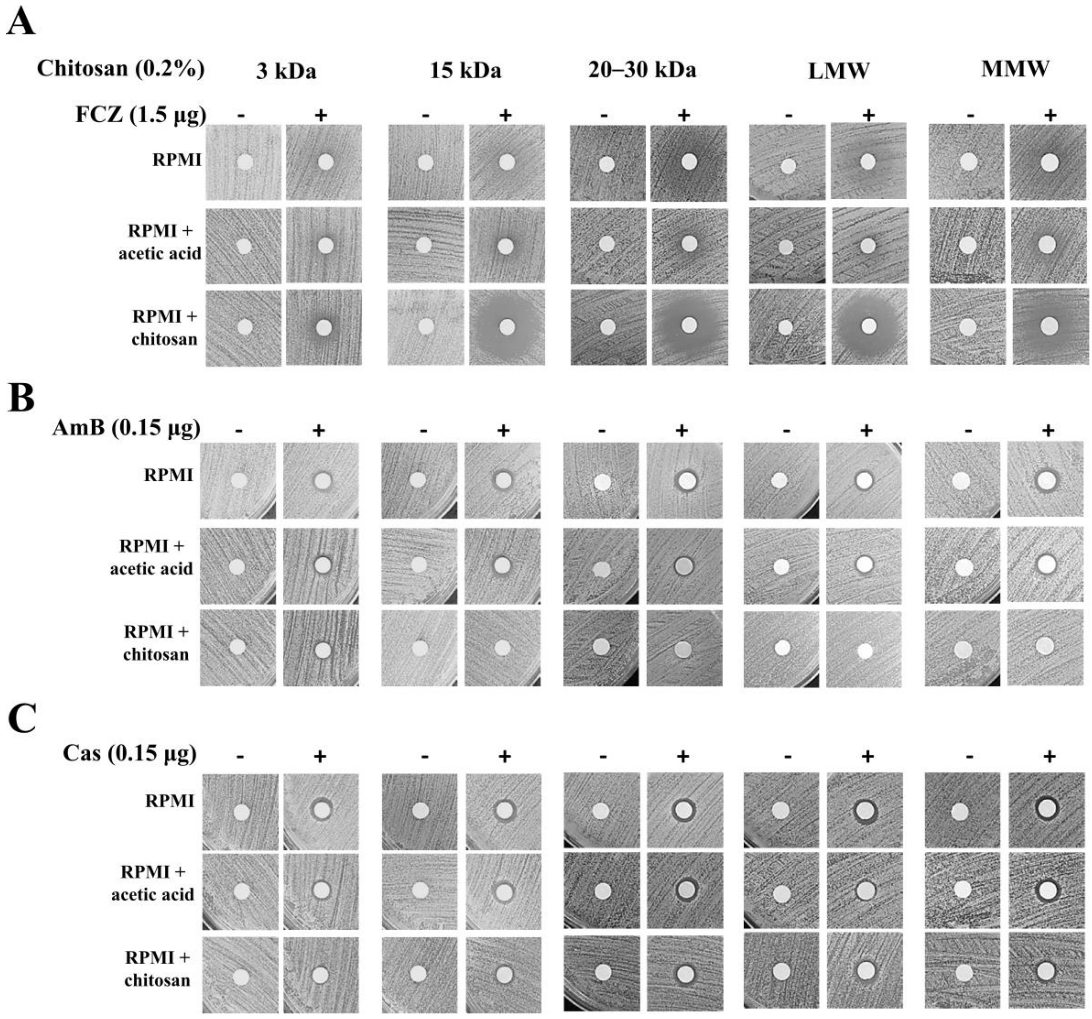 Molecules 25 05114 g001