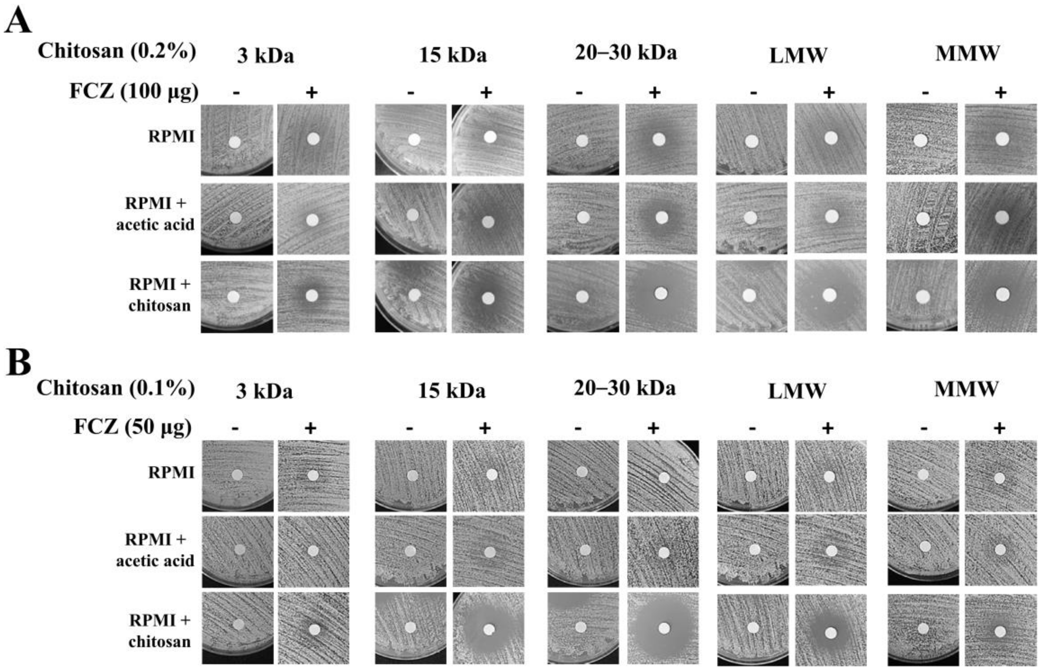 Molecules 25 05114 g003