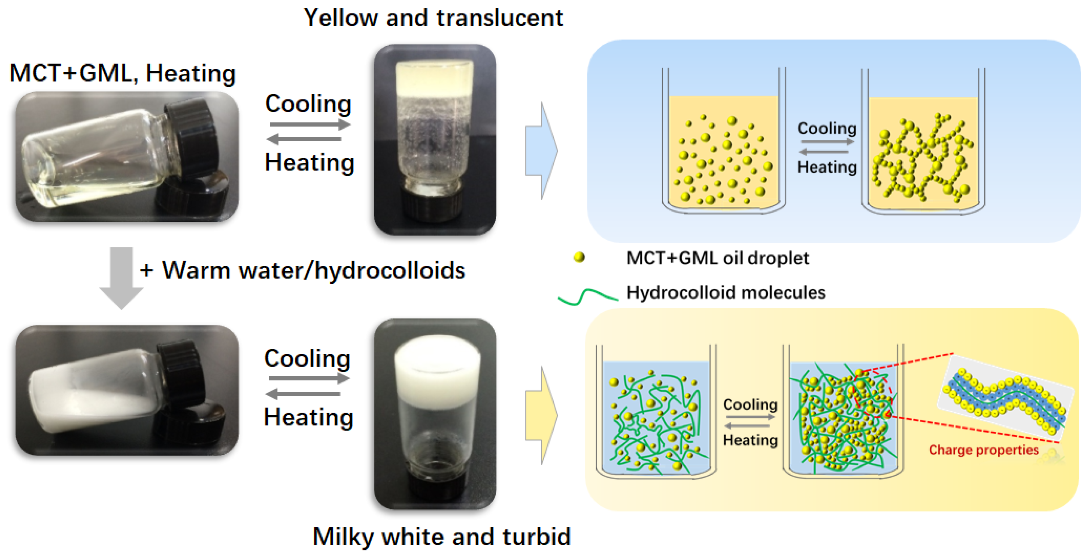 Molecules 25 05117 g001