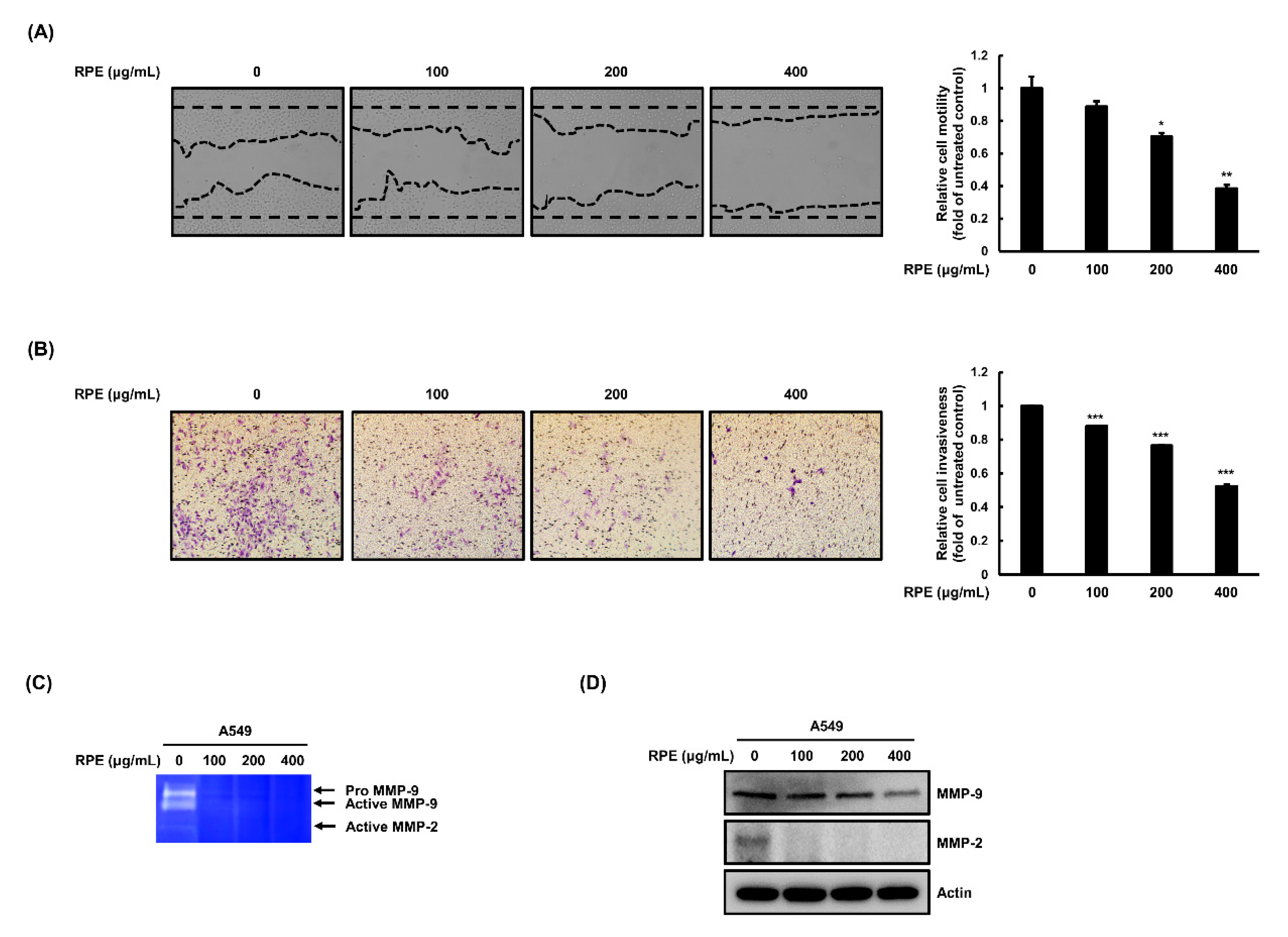 Molecules 25 05119 g003