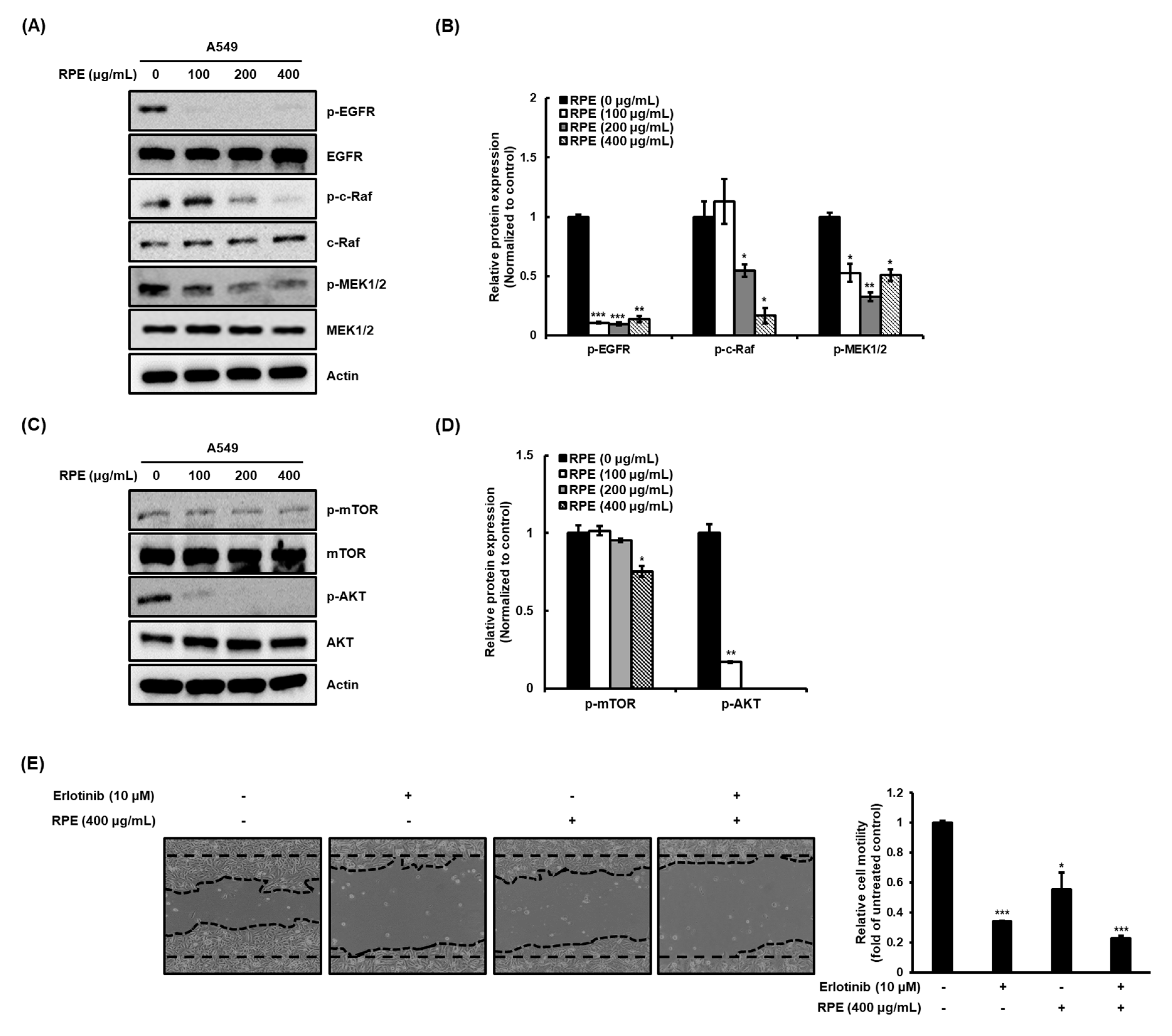 Molecules 25 05119 g004a