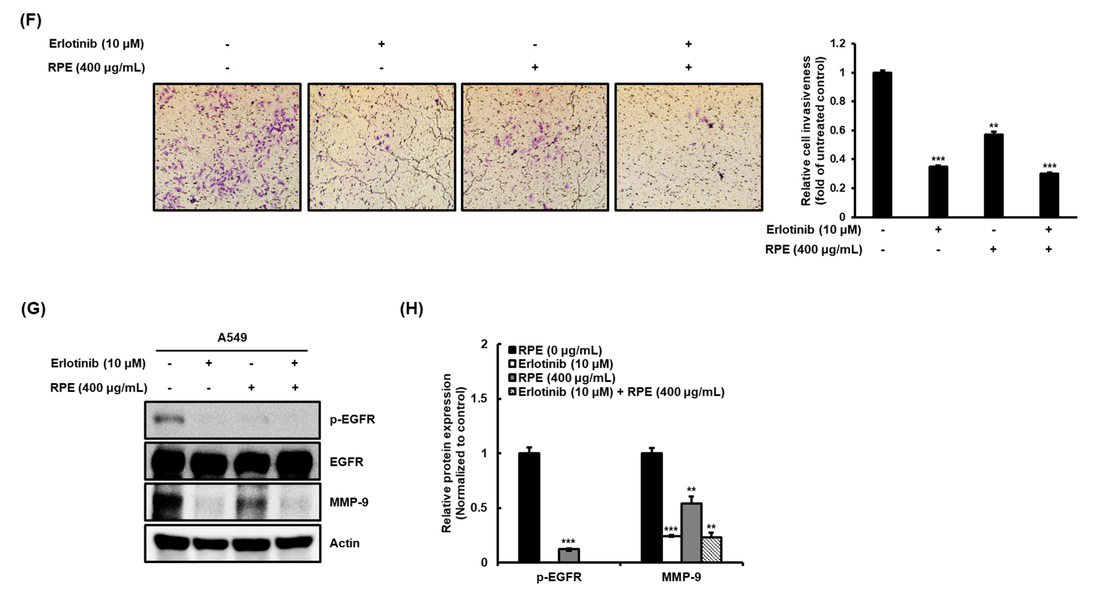 Molecules 25 05119 g004b