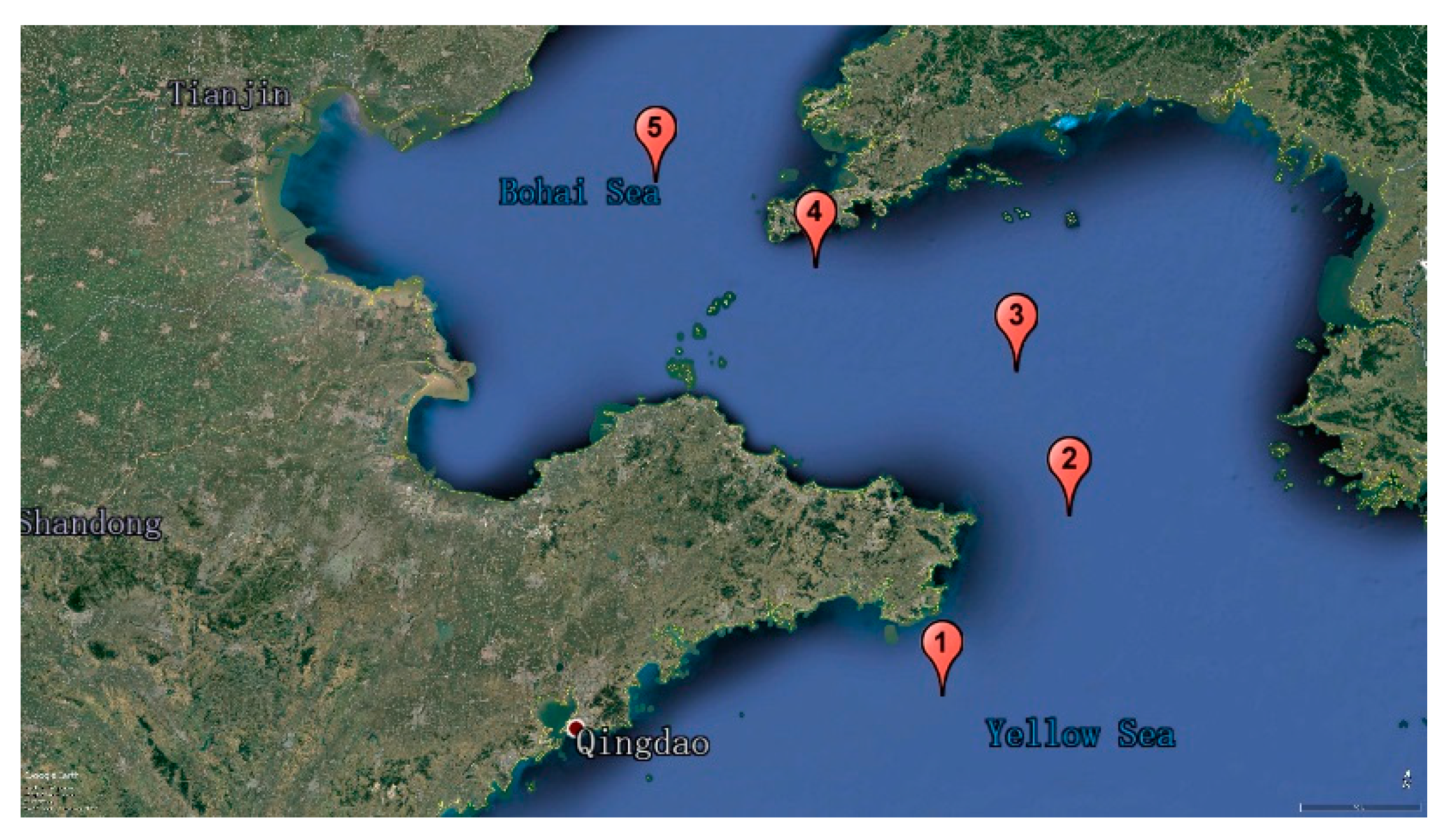 Molecules 25 05124 g004
