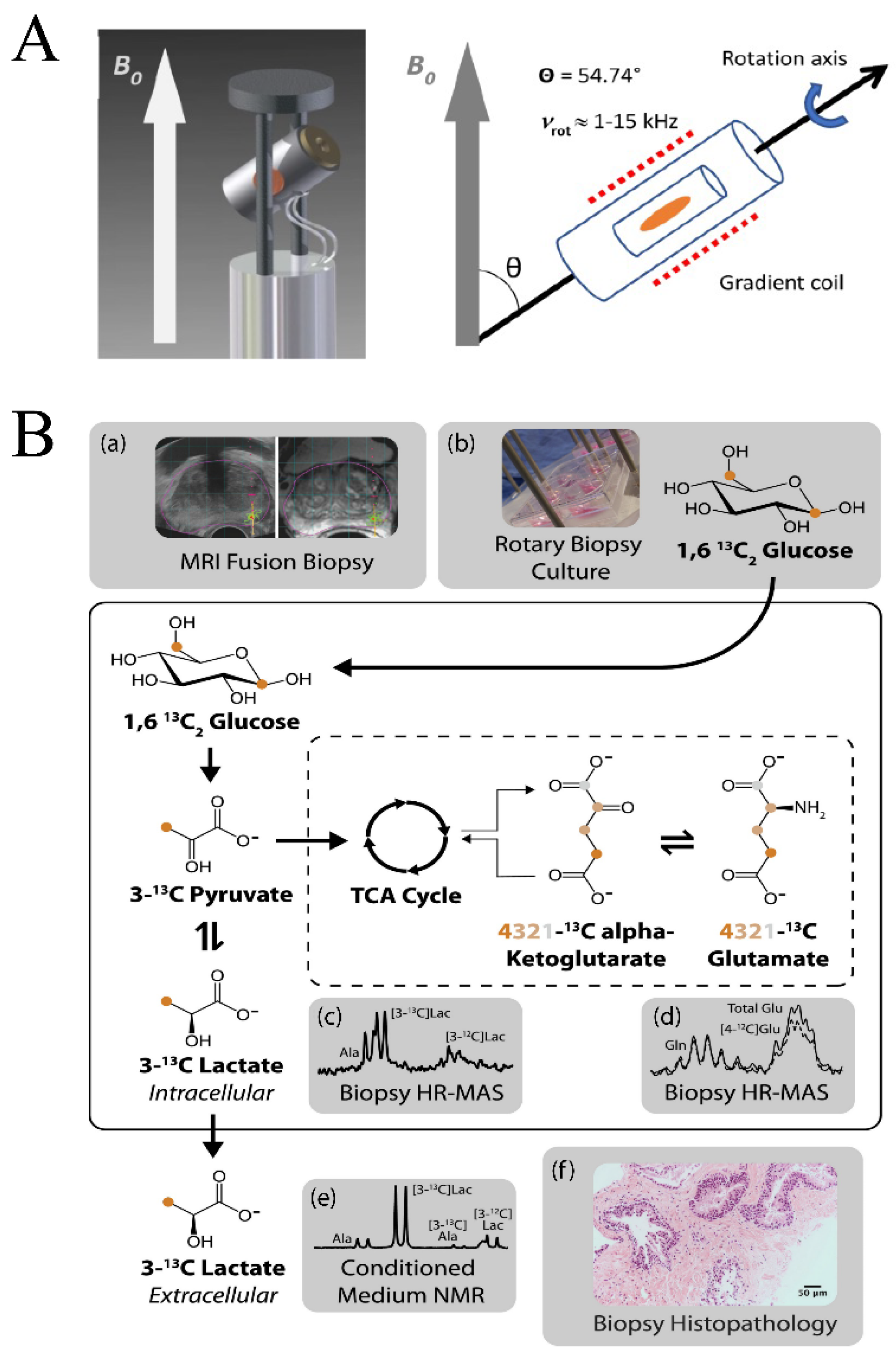 Molecules 25 05128 g005
