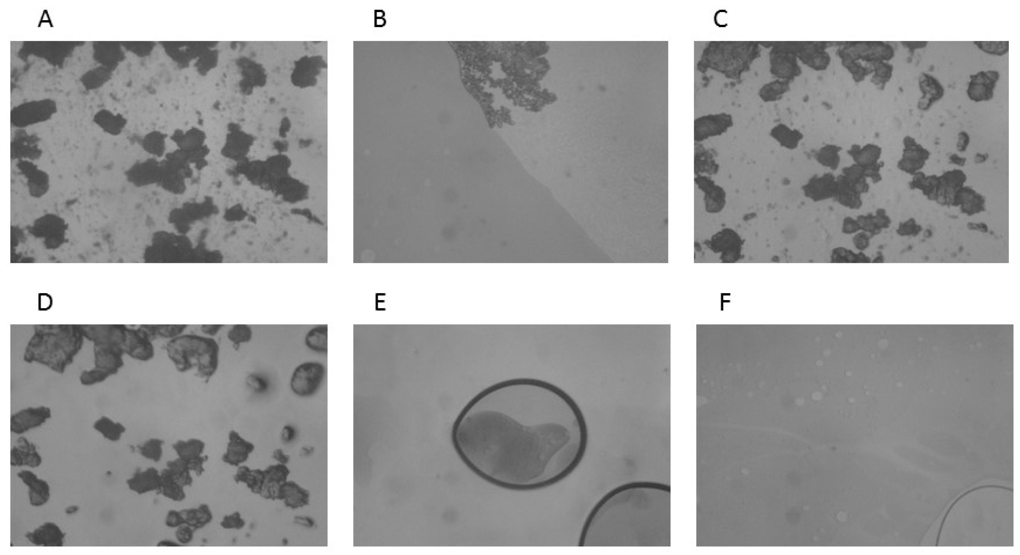 Molecules 25 05130 g004
