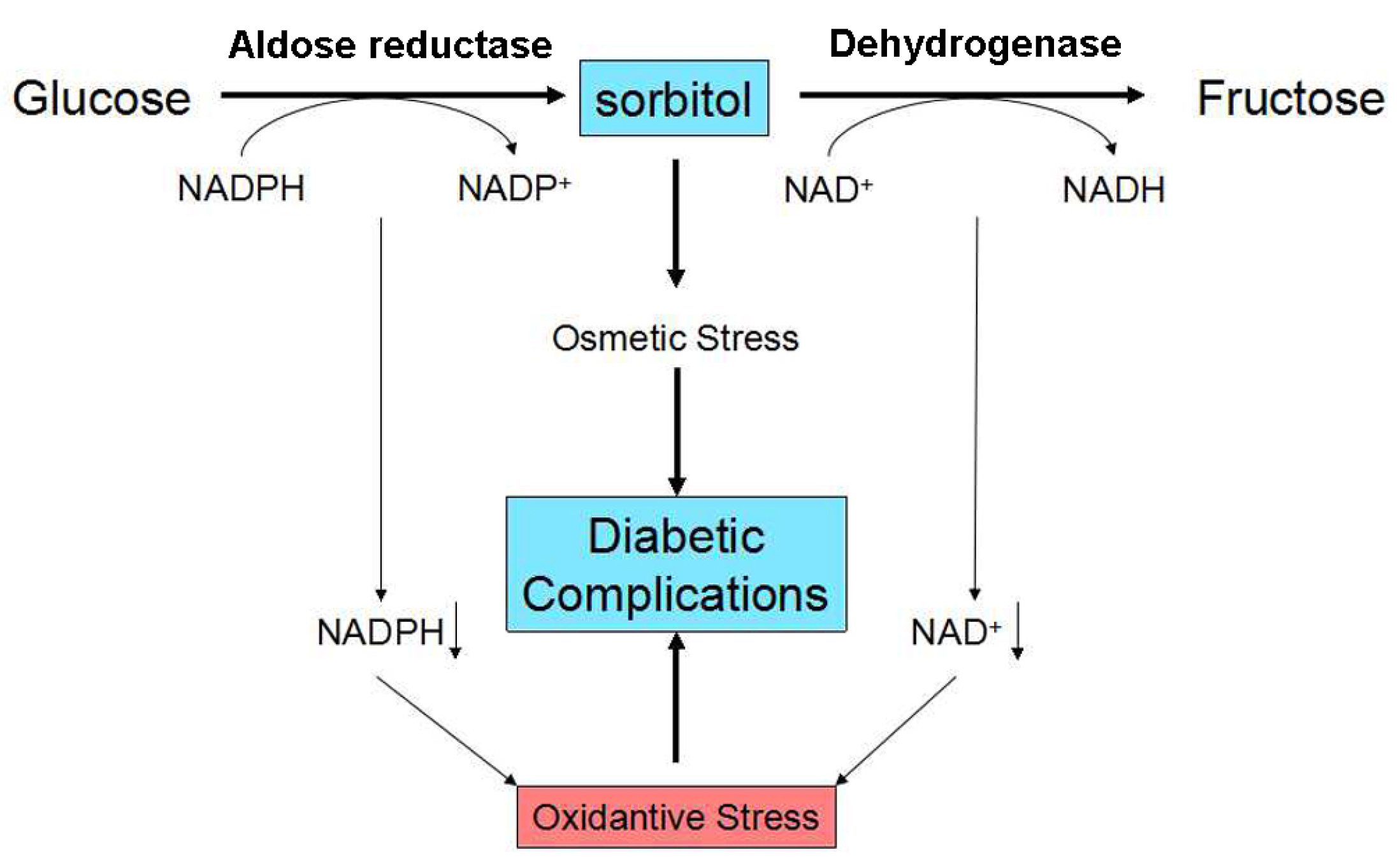 Molecules 25 05135 g001