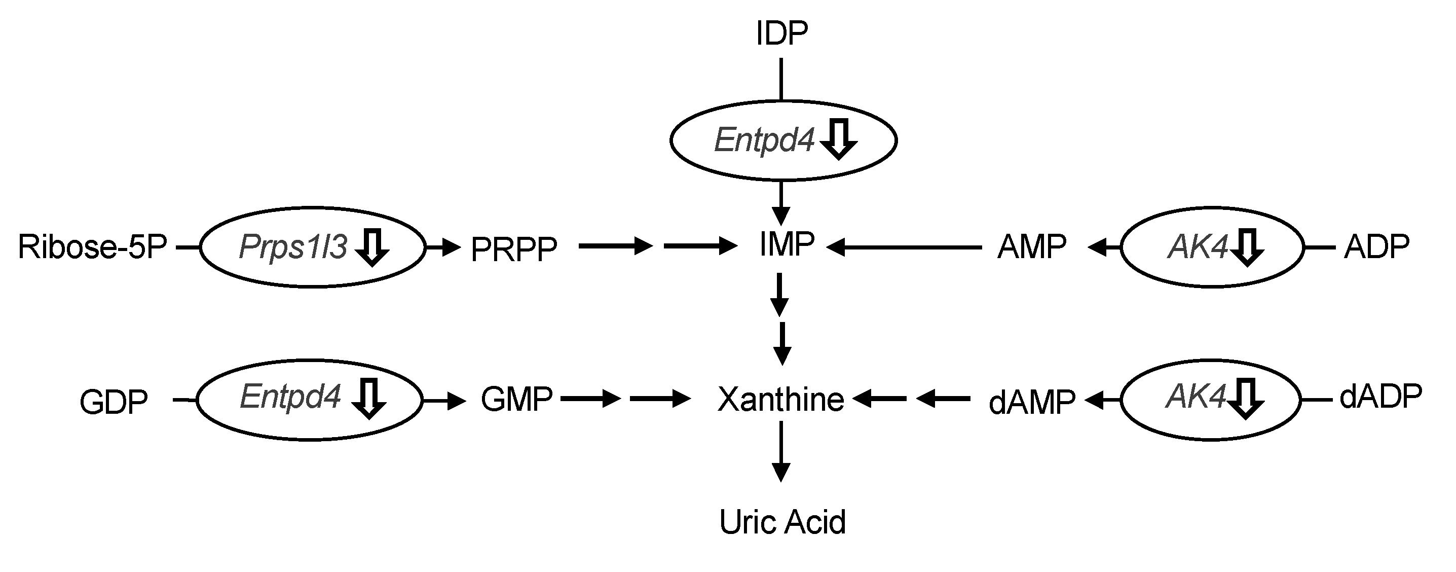 Molecules 25 05136 g008