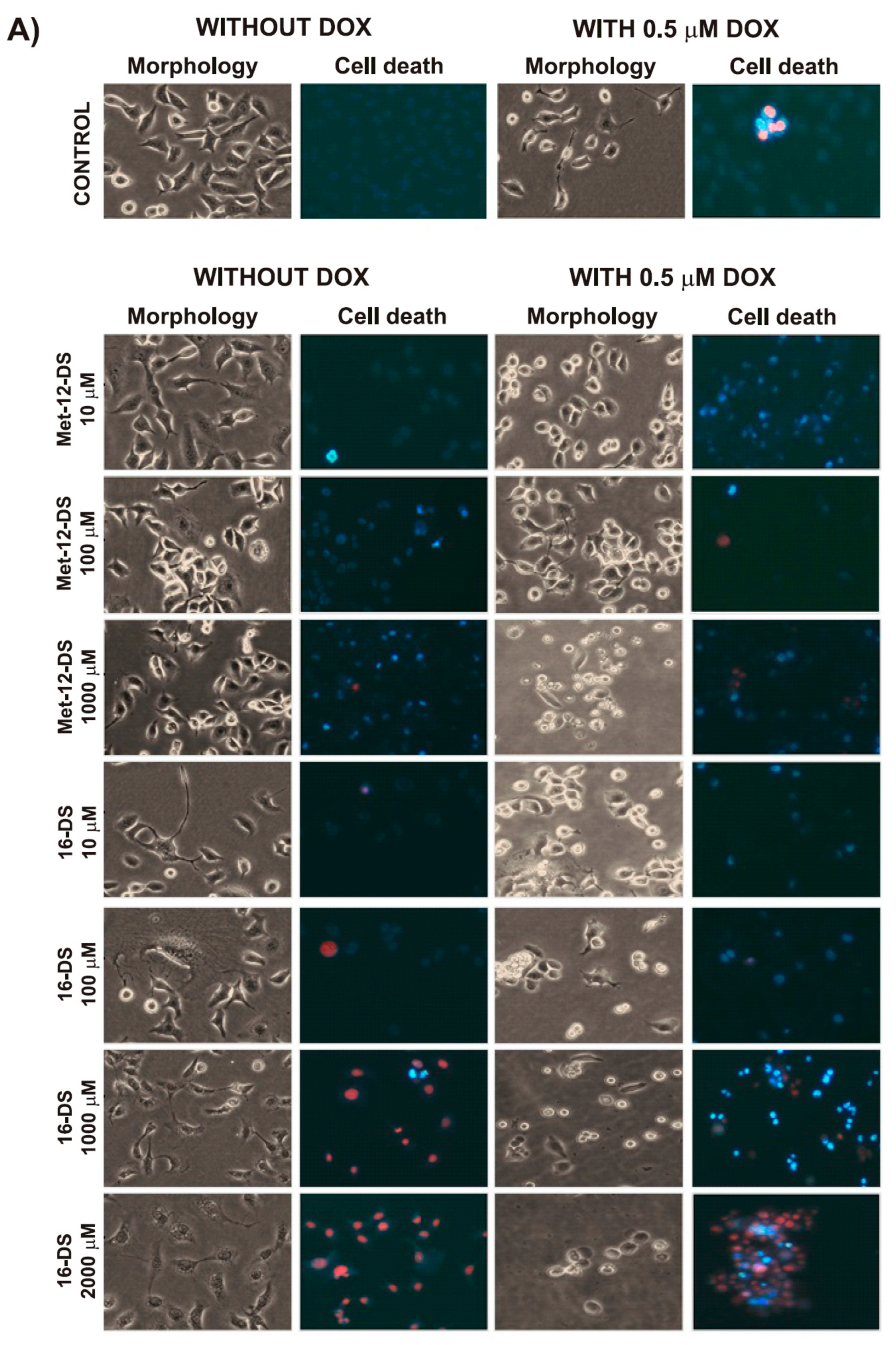 Molecules 25 05138 g003a Molecules 25 05138 g003a