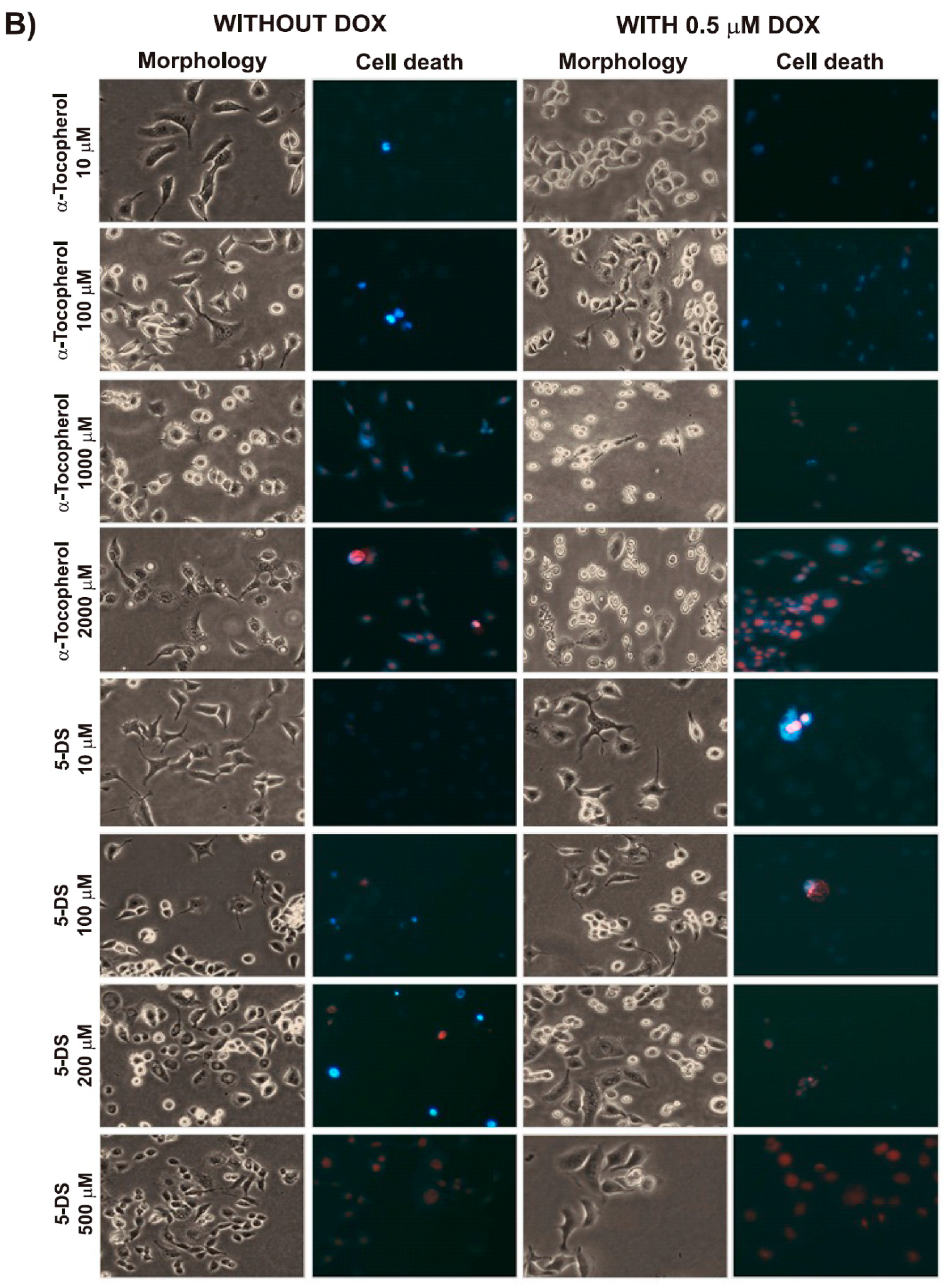 Molecules 25 05138 g003b Molecules 25 05138 g003b
