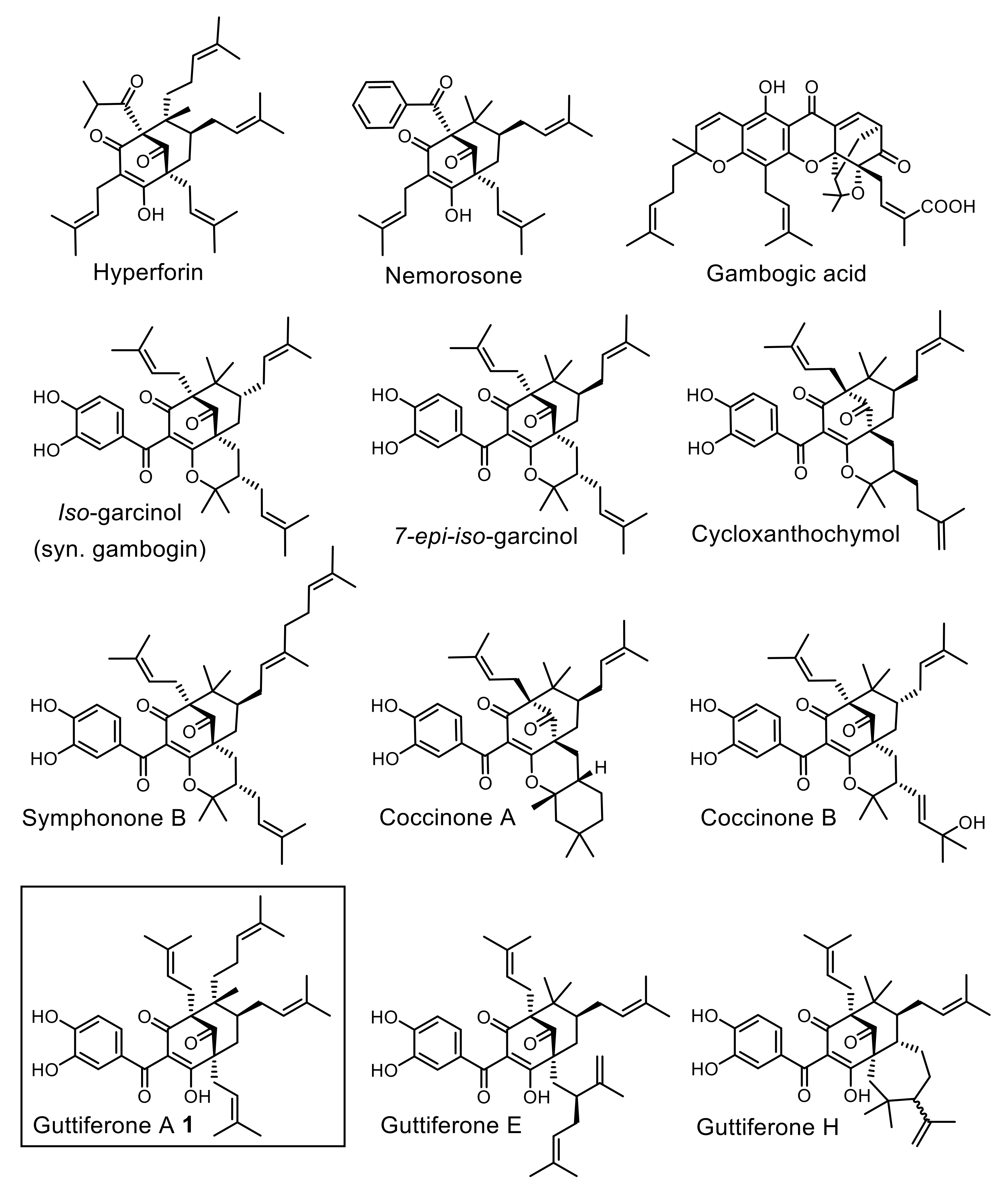 Molecules 25 05139 g001