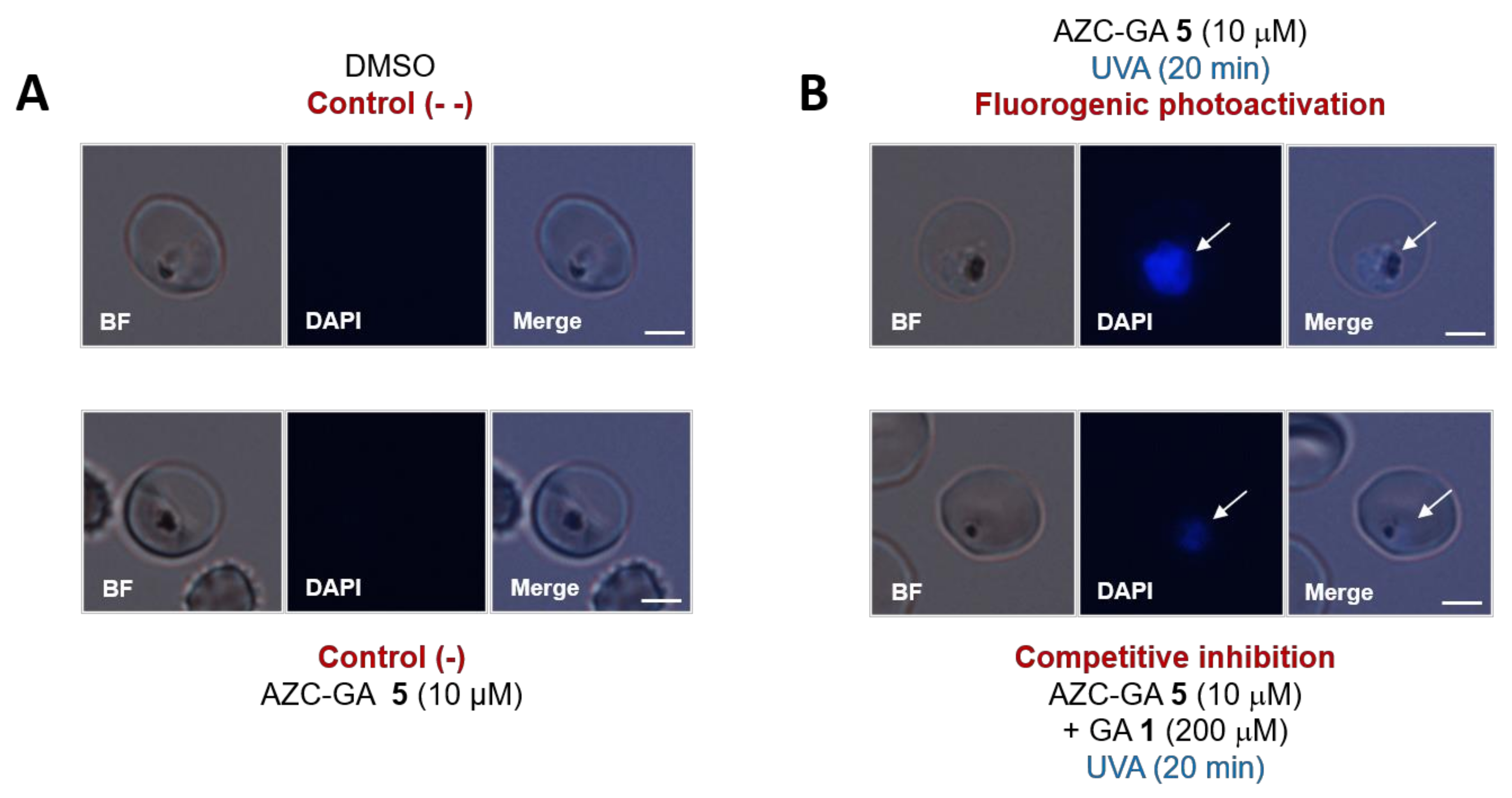 Molecules 25 05139 g005