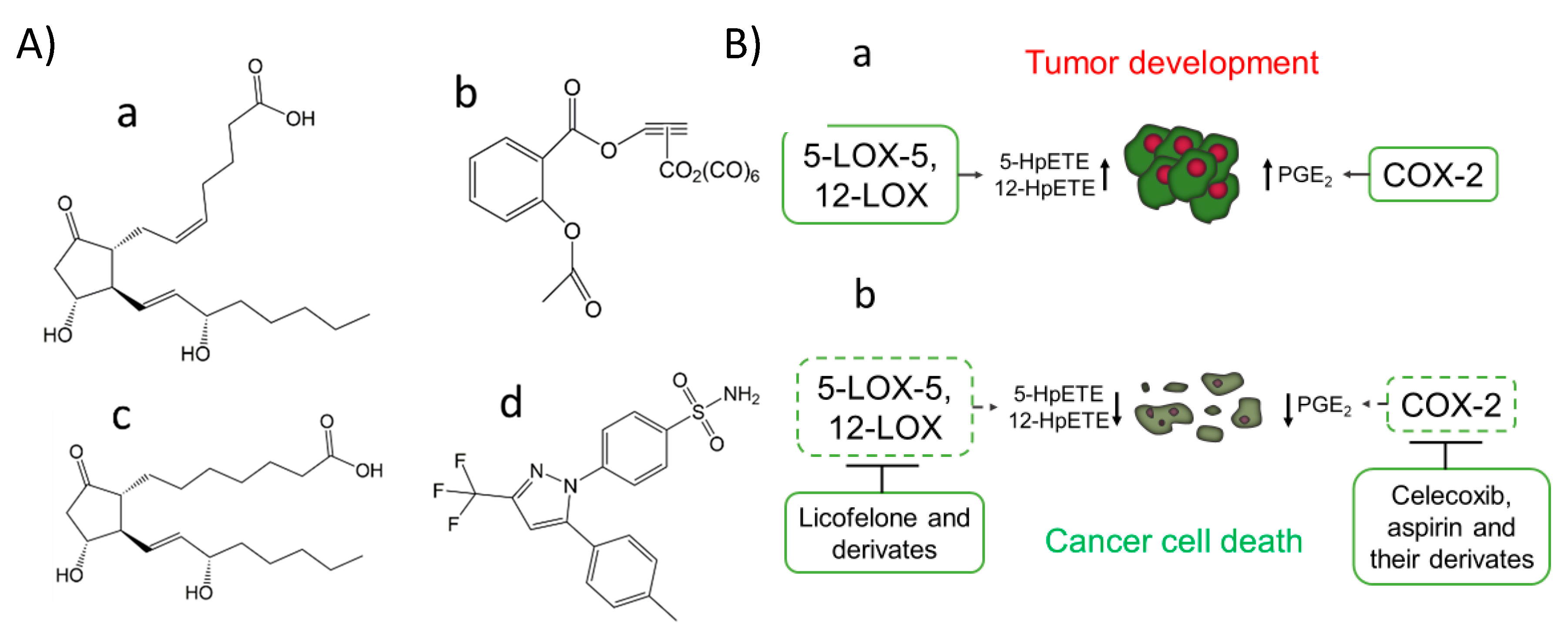Molecules 25 05144 g001