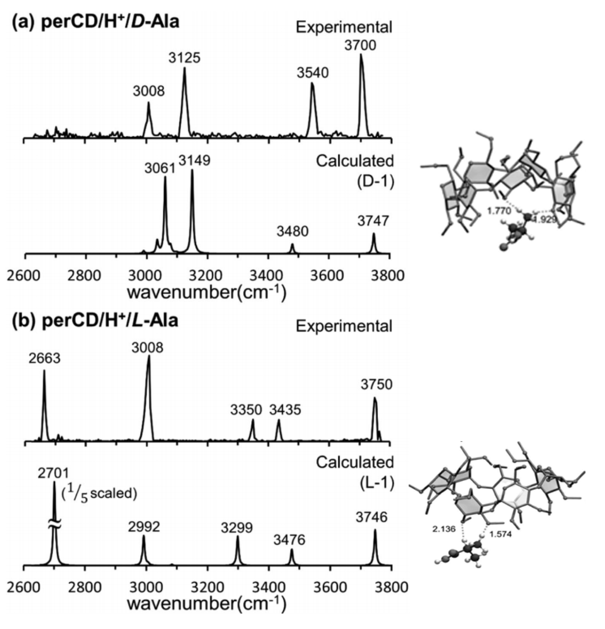 Molecules 25 05152 g007