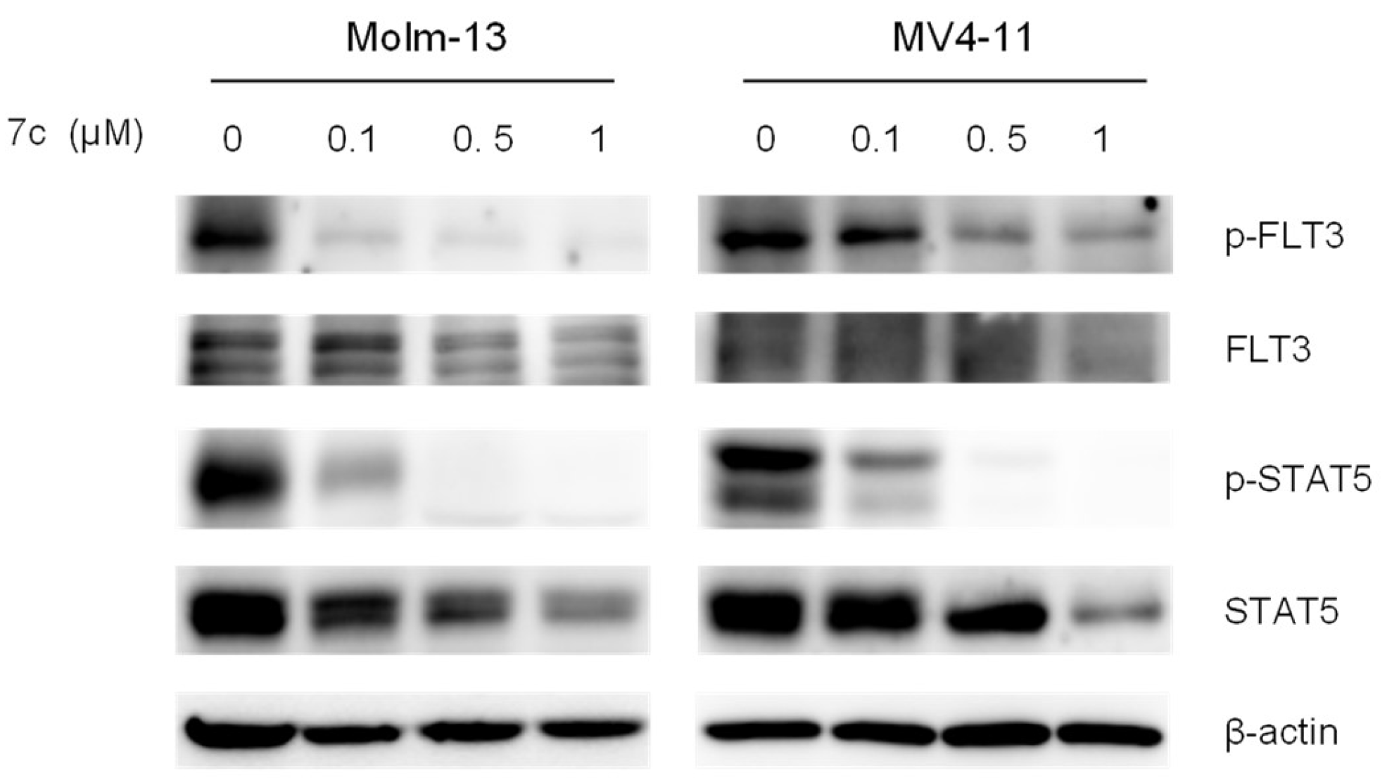 Molecules 25 05154 g003