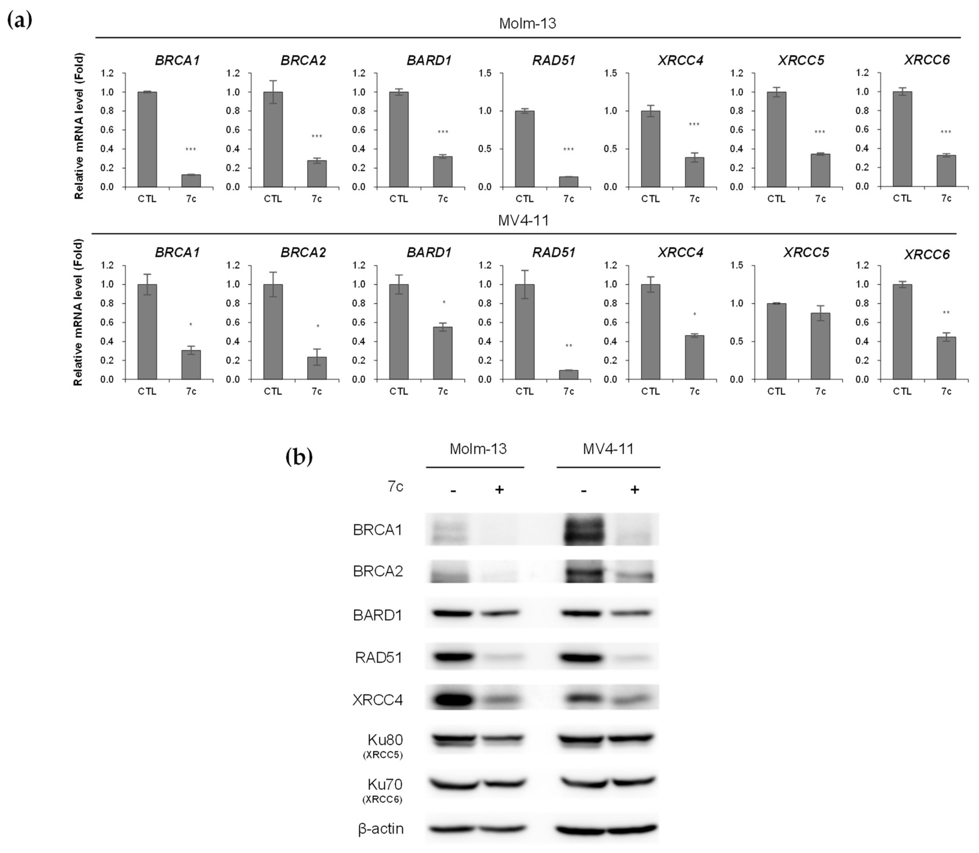 Molecules 25 05154 g004