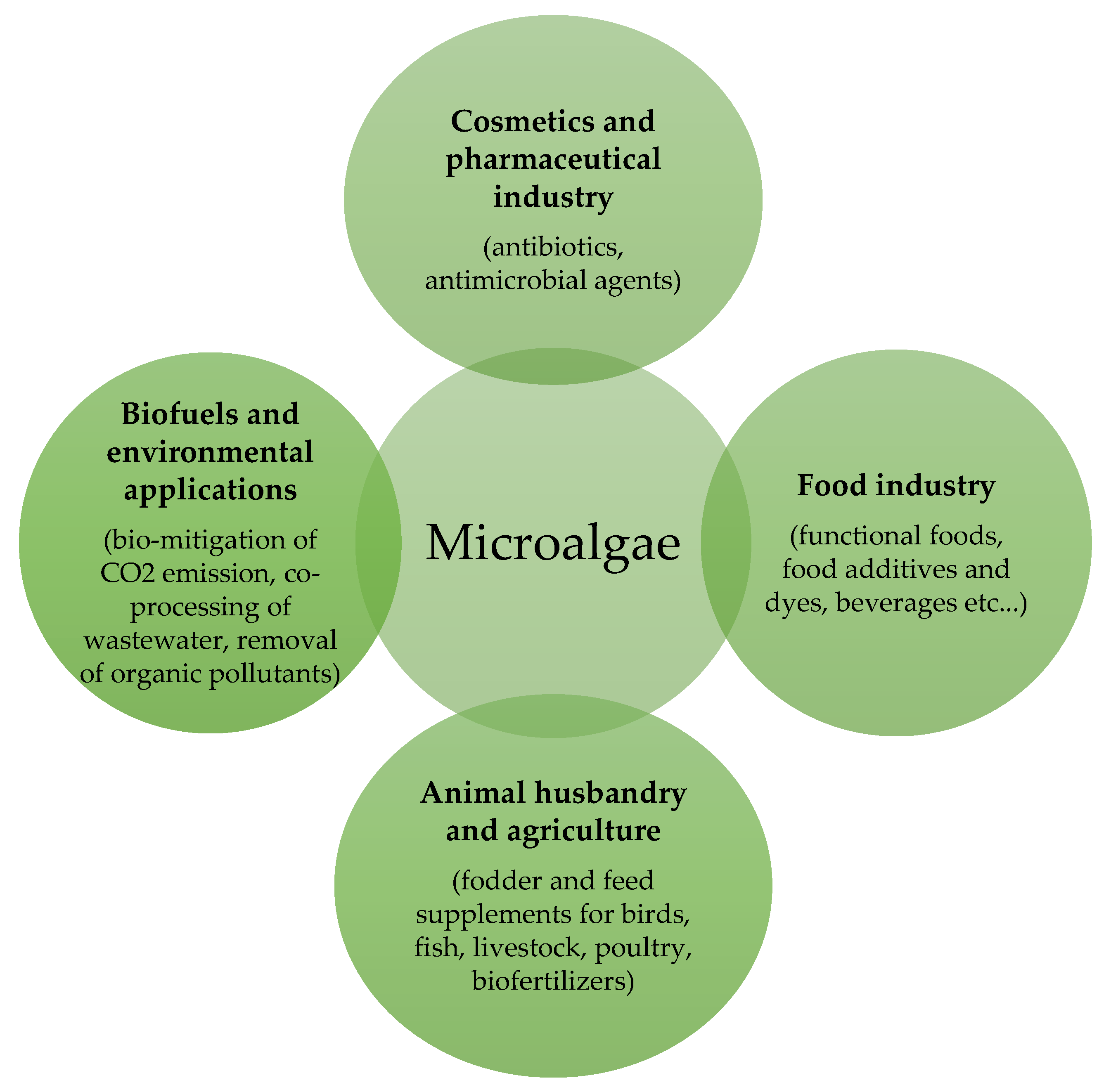 Molecules 25 05164 g001