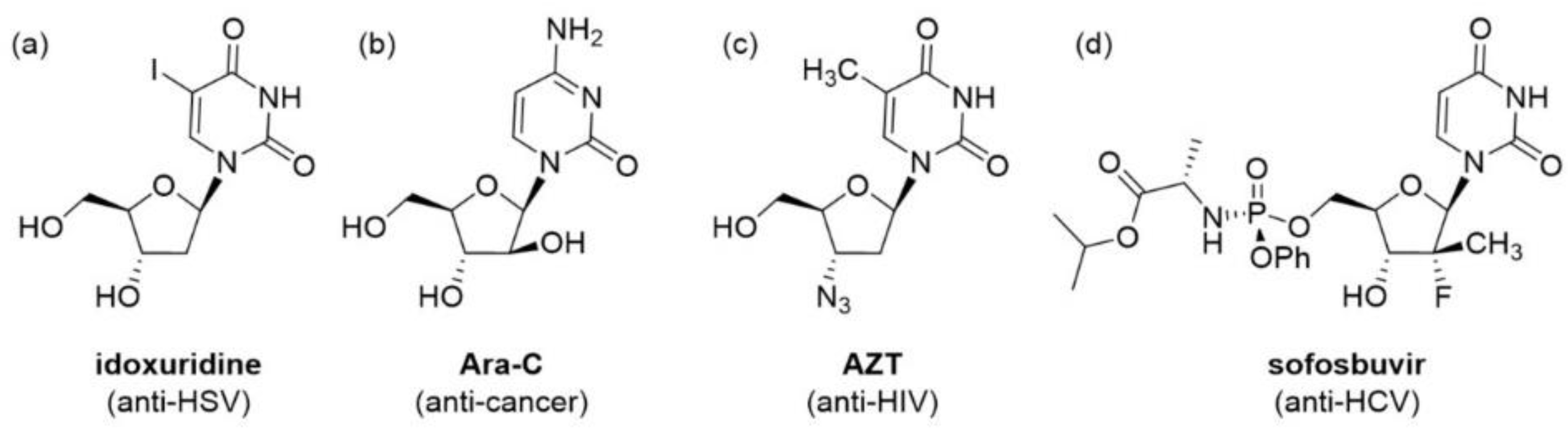 Molecules 25 05165 g001 Molecules 25 05165 g001
