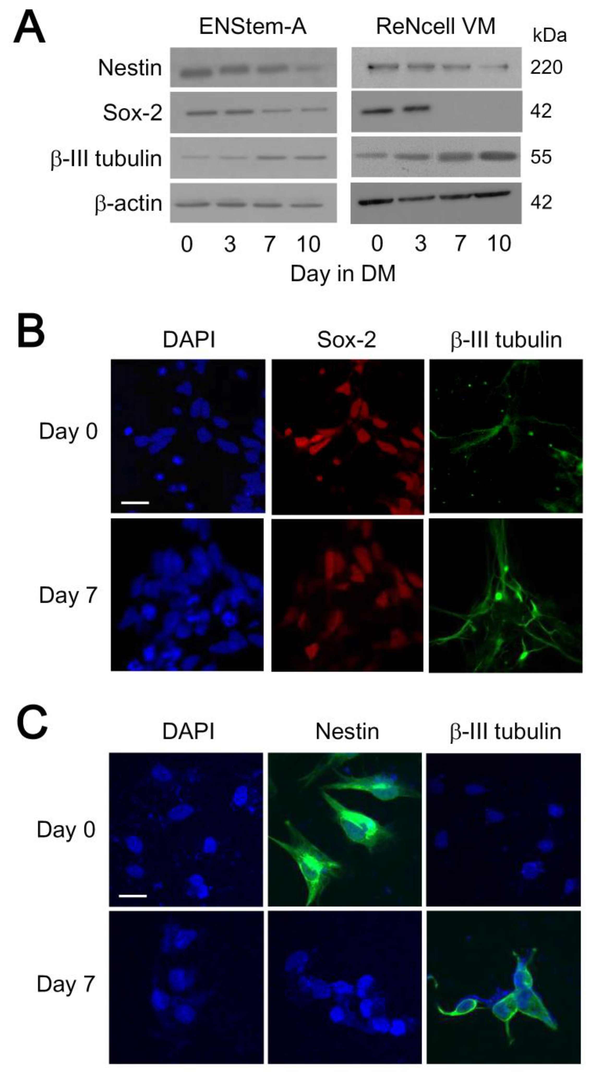 Molecules 25 05169 g001 Molecules 25 05169 g001
