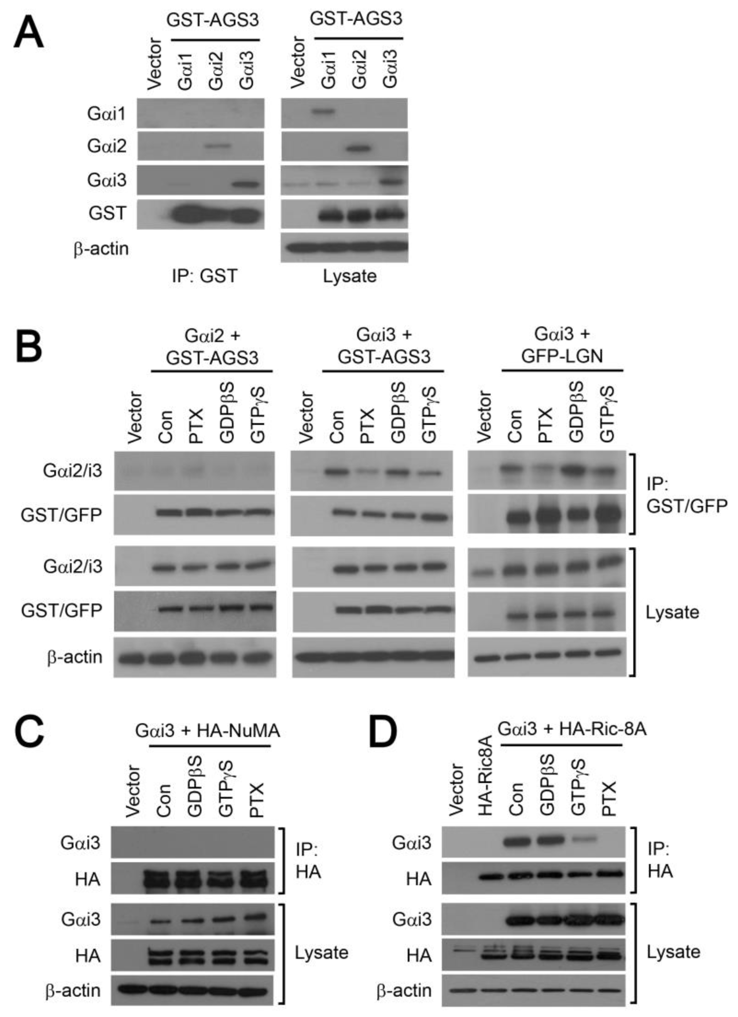 Molecules 25 05169 g004 Molecules 25 05169 g004
