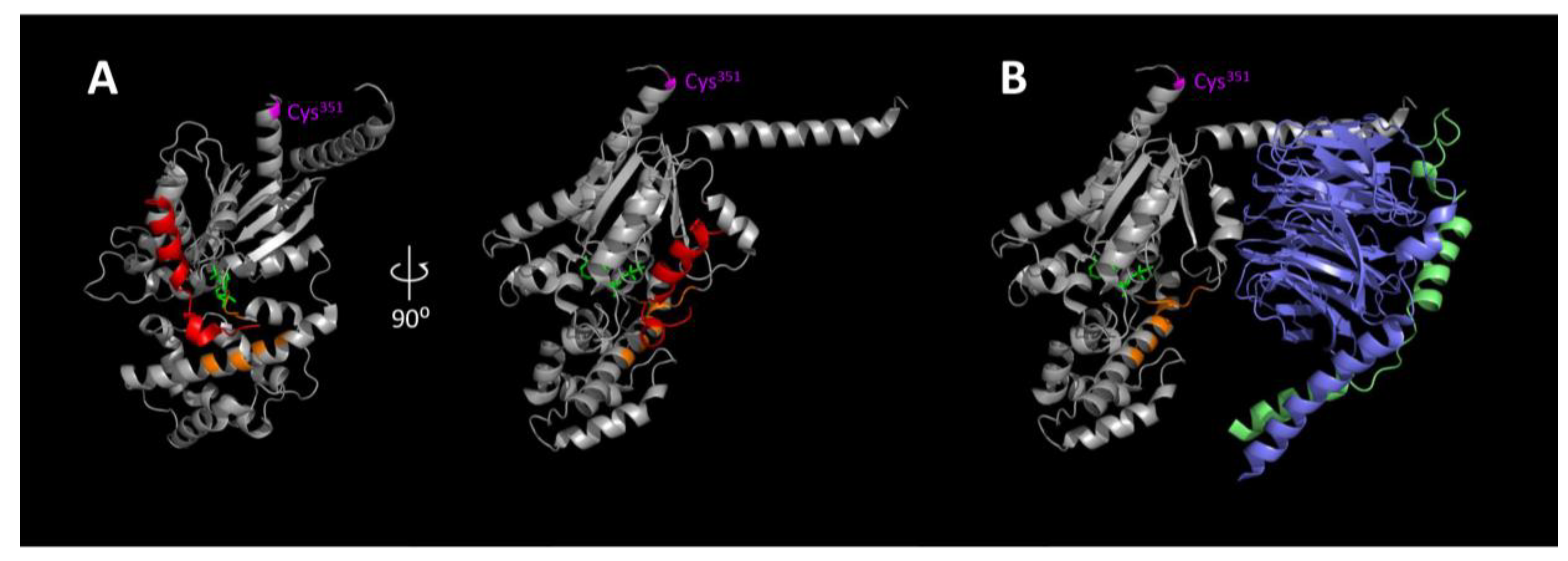 Molecules 25 05169 g005 Molecules 25 05169 g005