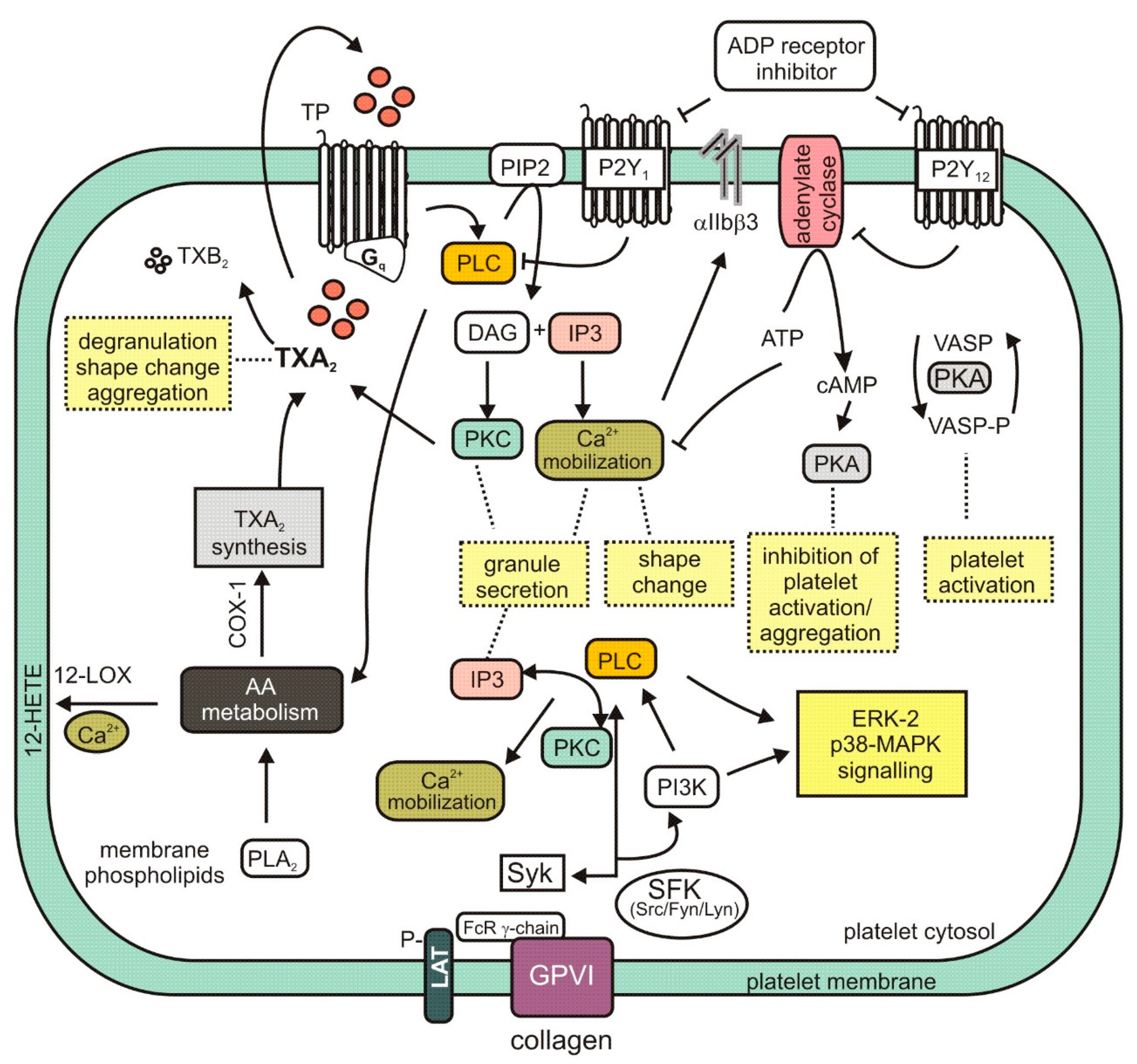 Molecules 25 05171 g002