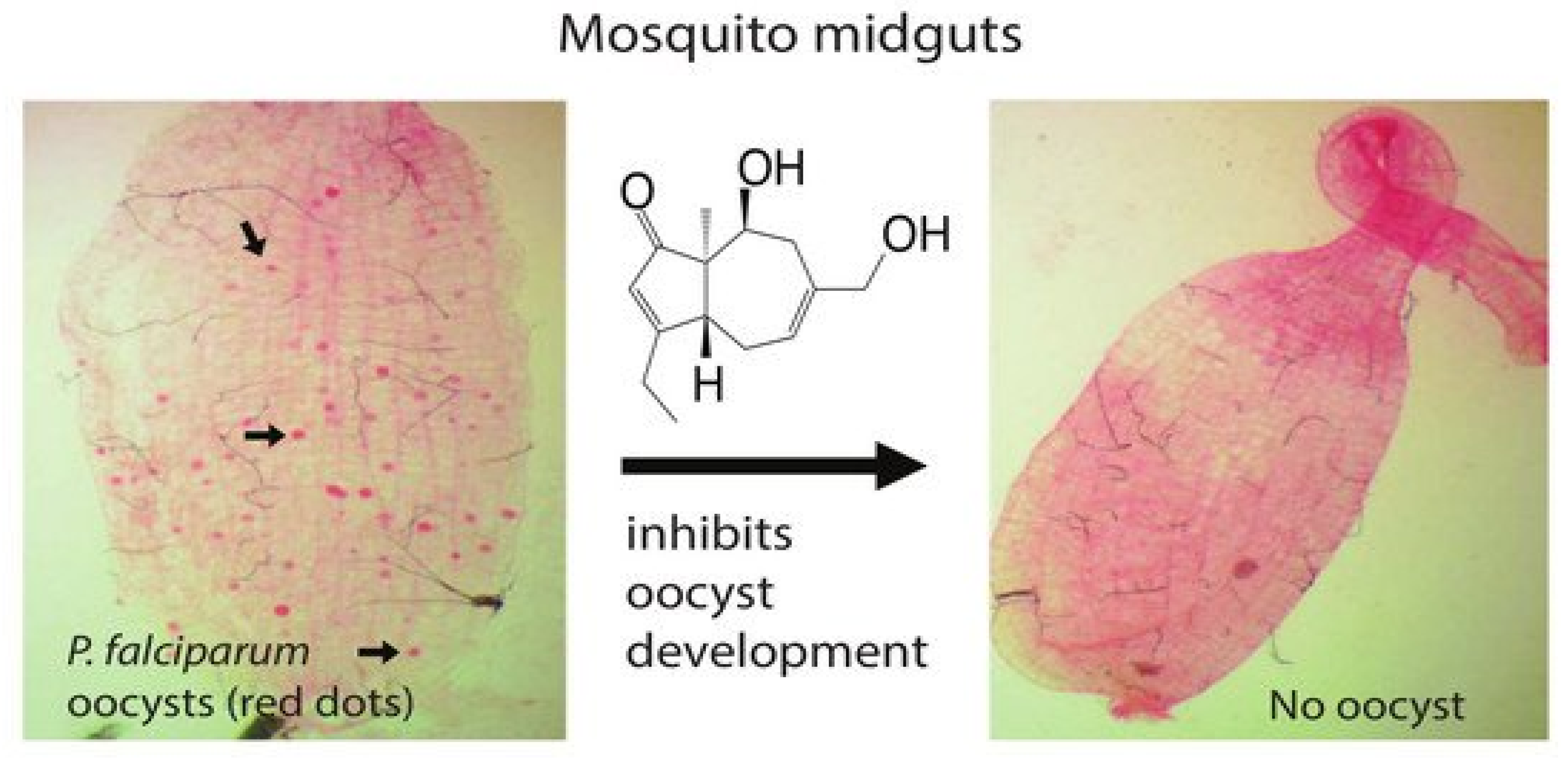 Molecules 25 05175 i002