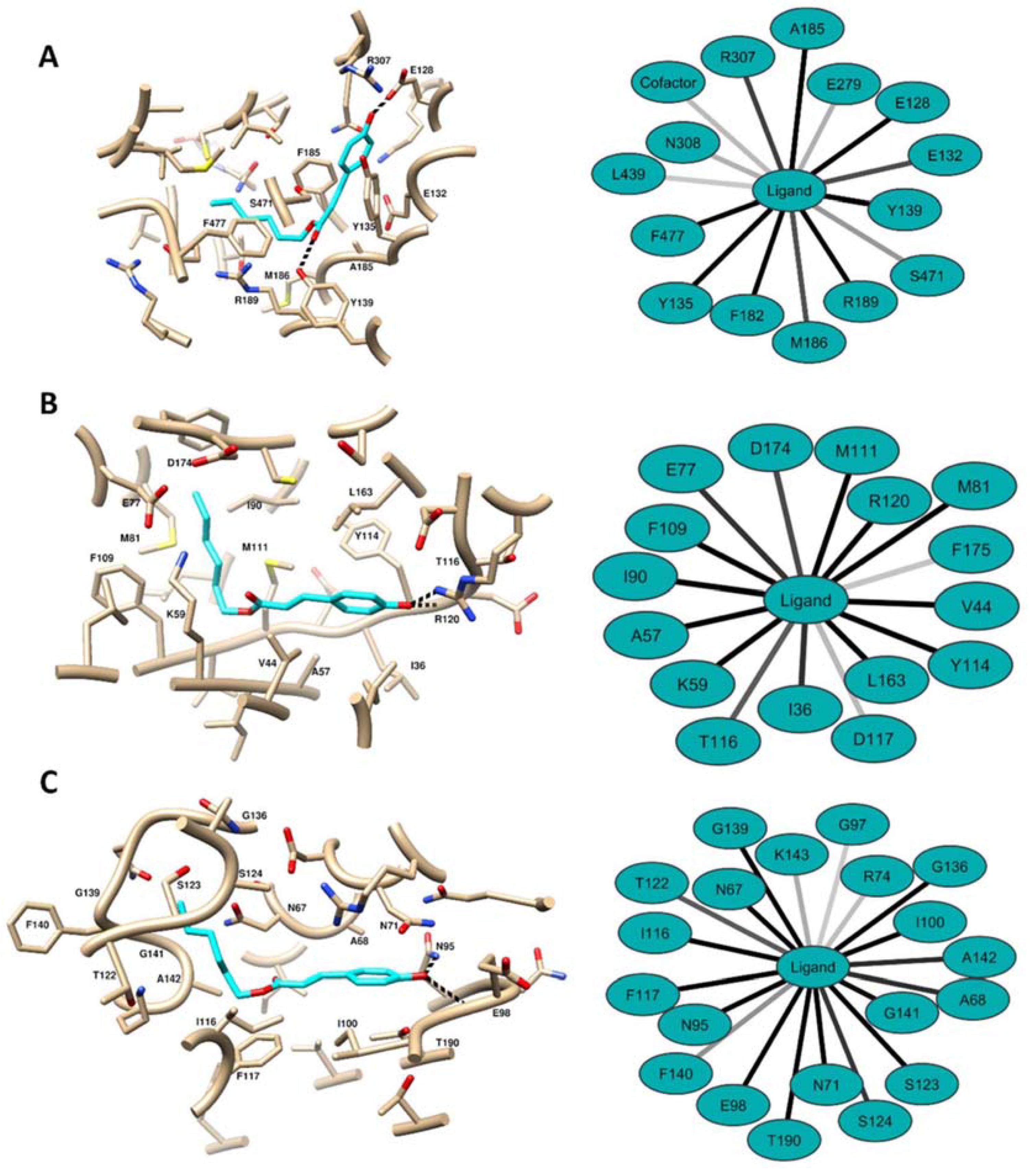 Molecules 25 05175 i003