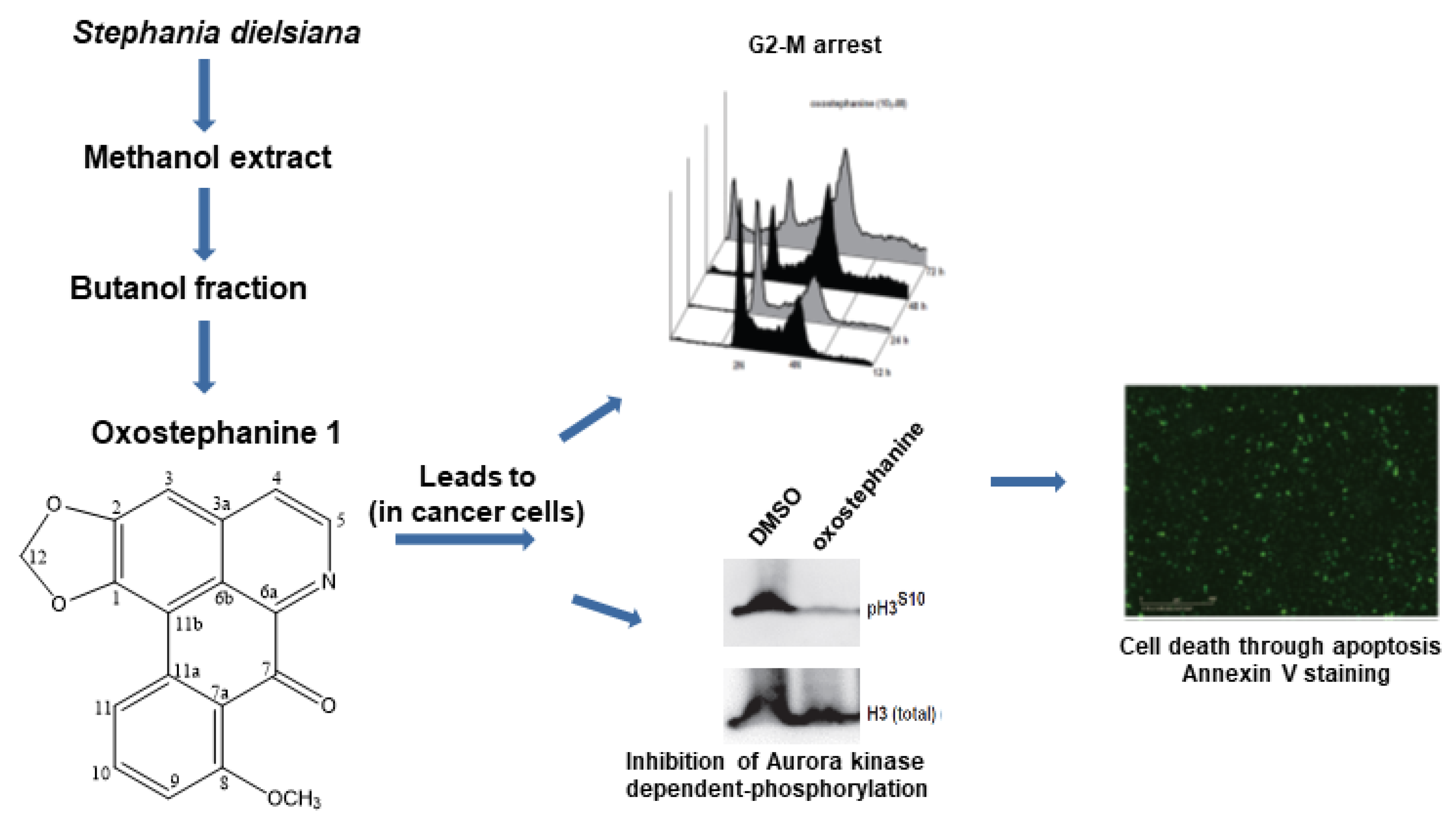Molecules 25 05175 i005