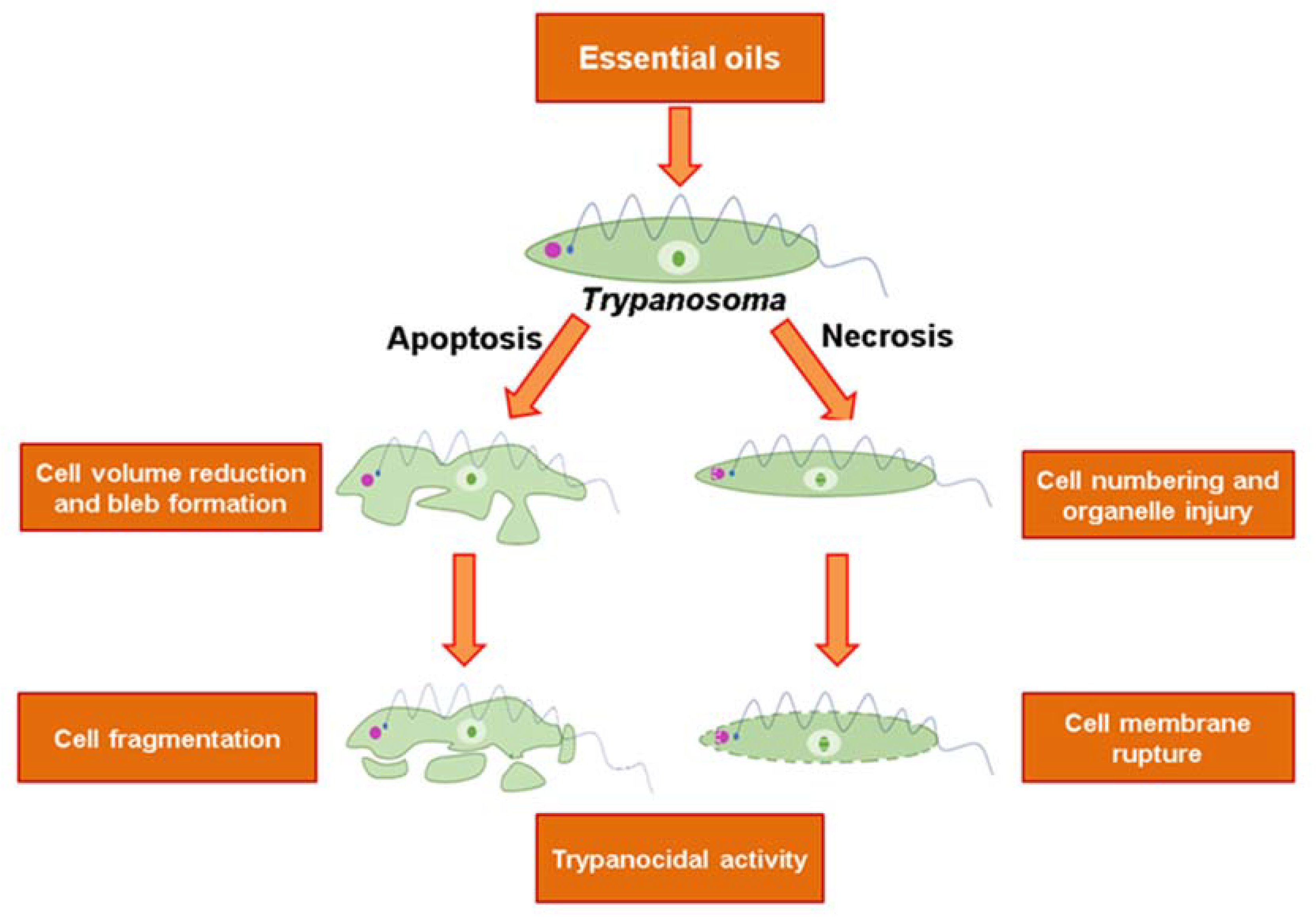 Molecules 25 05175 i009