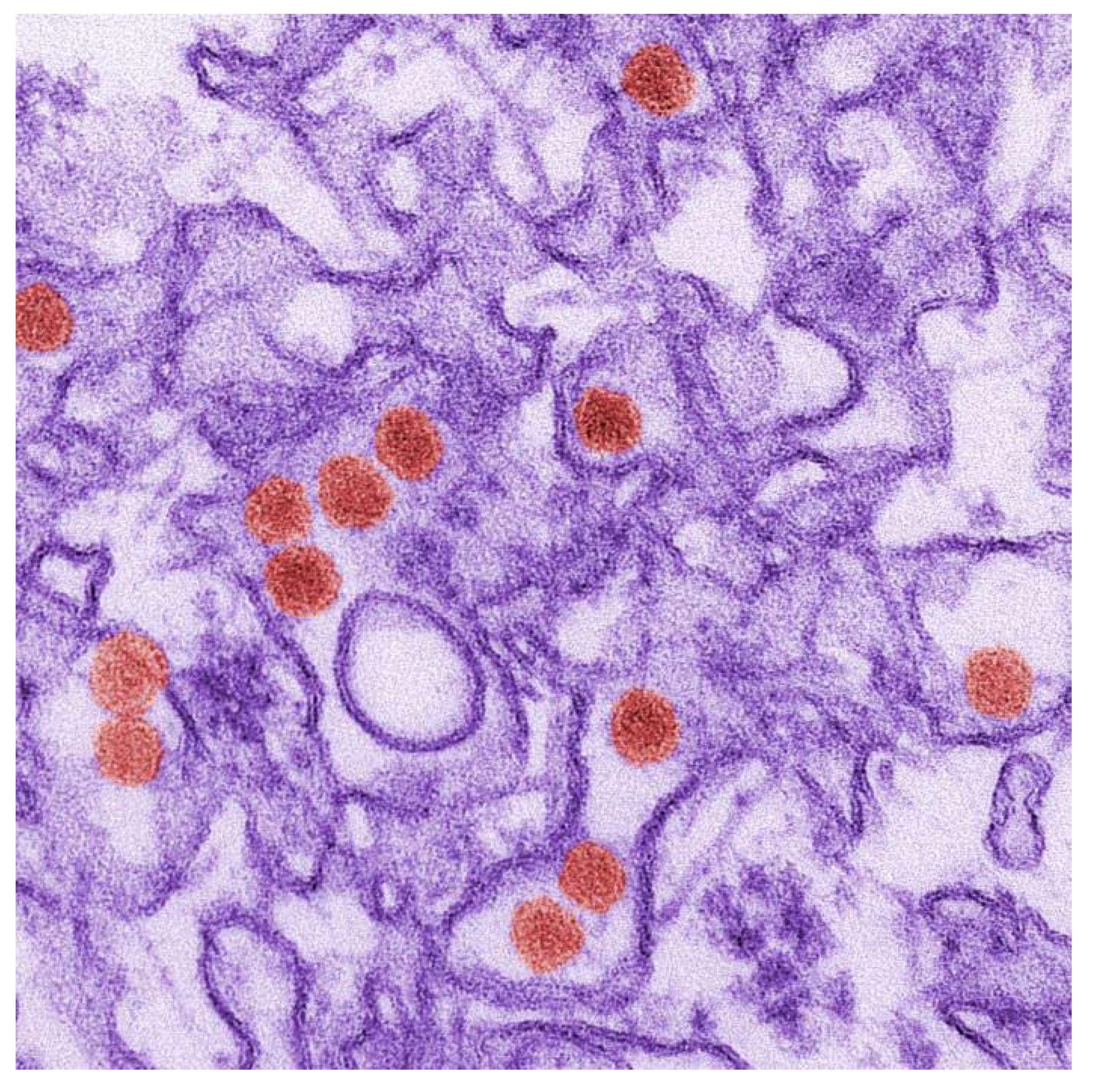 Molecules 25 05175 i010