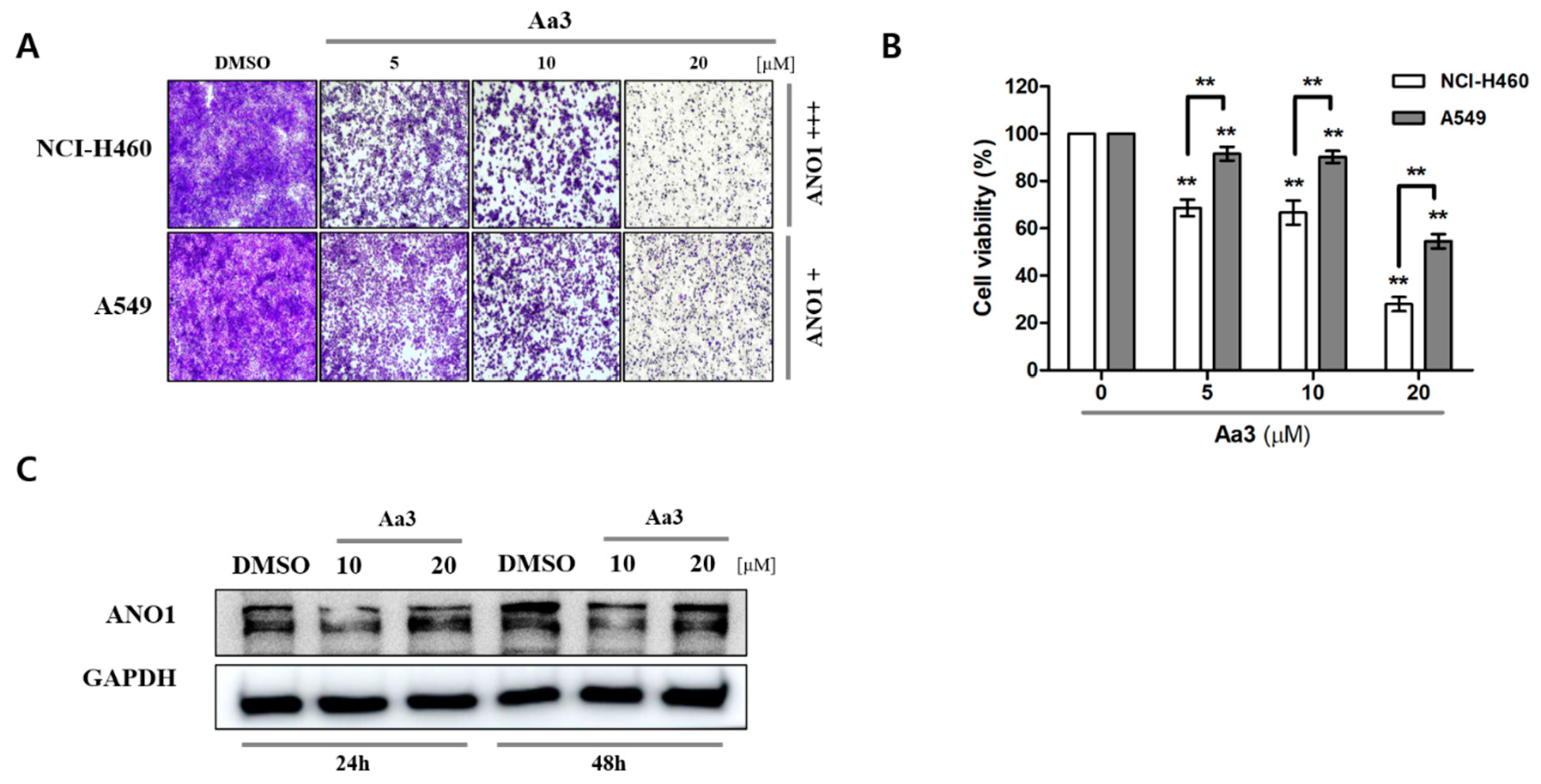Molecules 25 05180 g005 Molecules 25 05180 g005