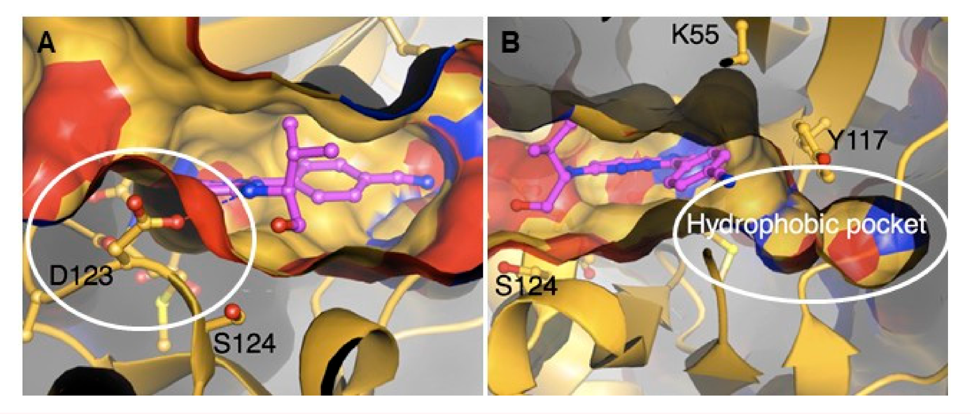 Molecules 25 05182 g029
