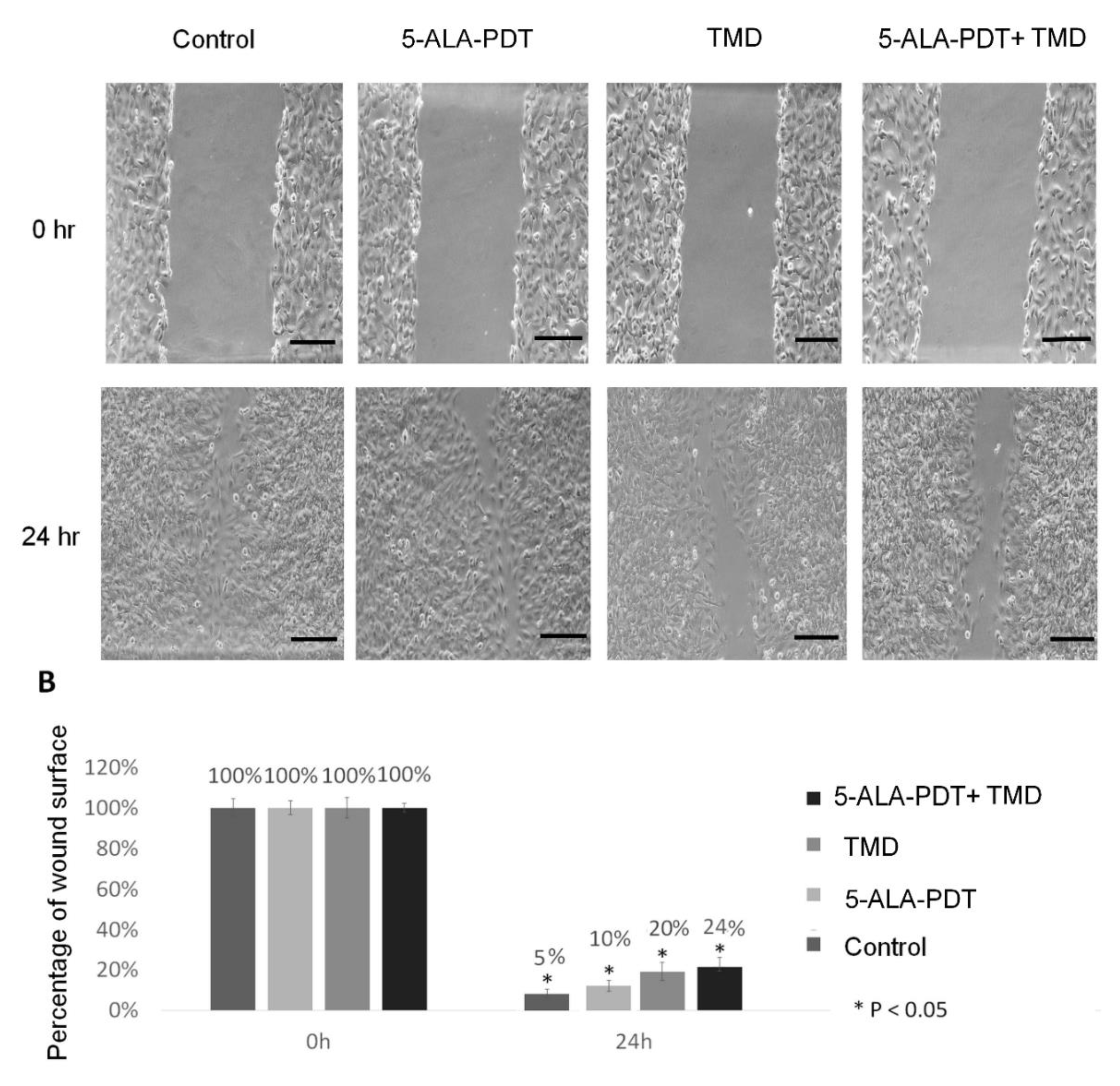 Molecules 25 05184 g003