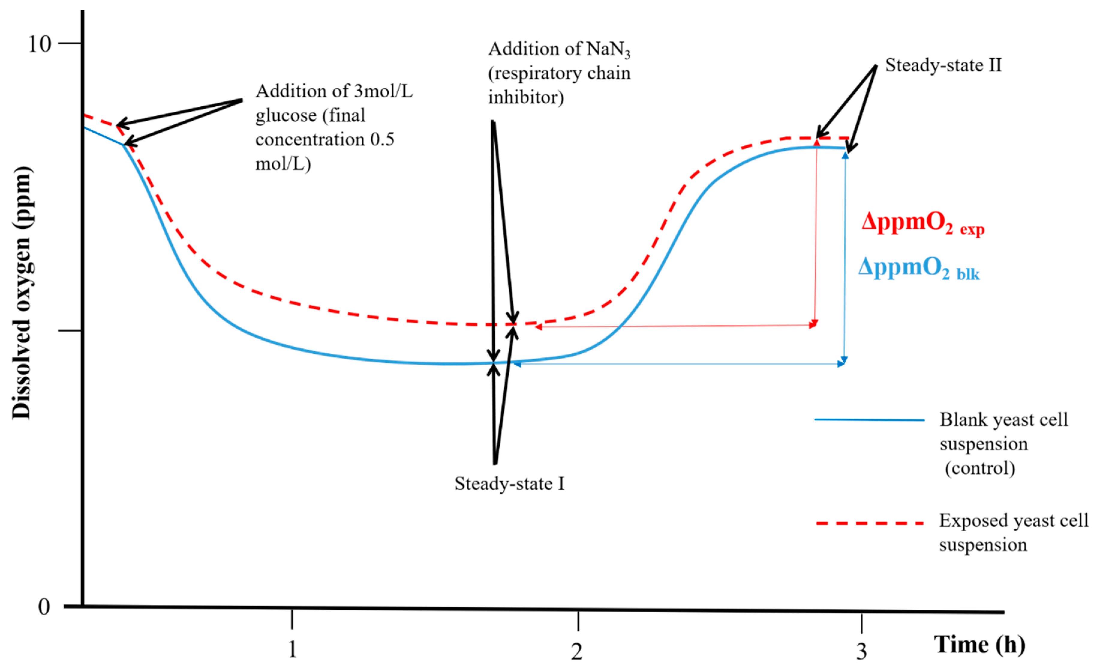 Molecules 25 05185 g003