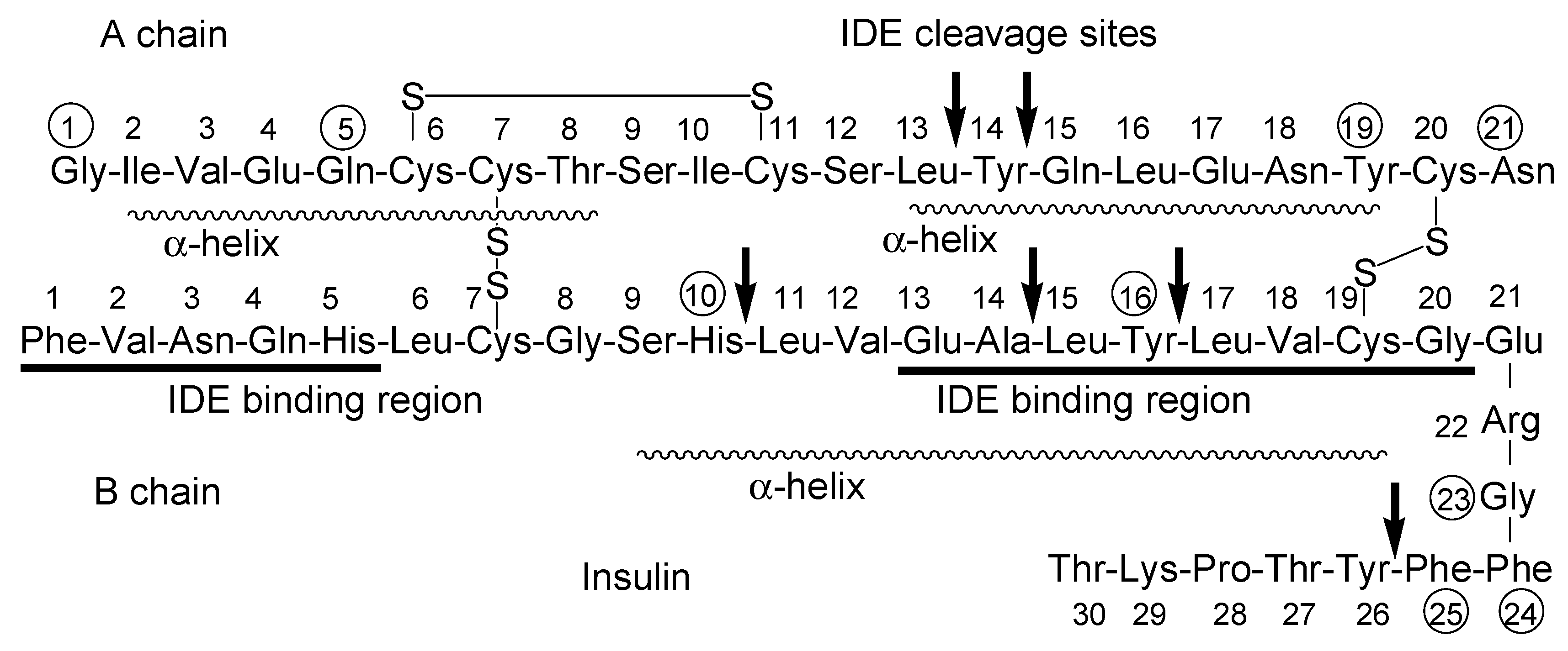 Molecules 25 05188 g004