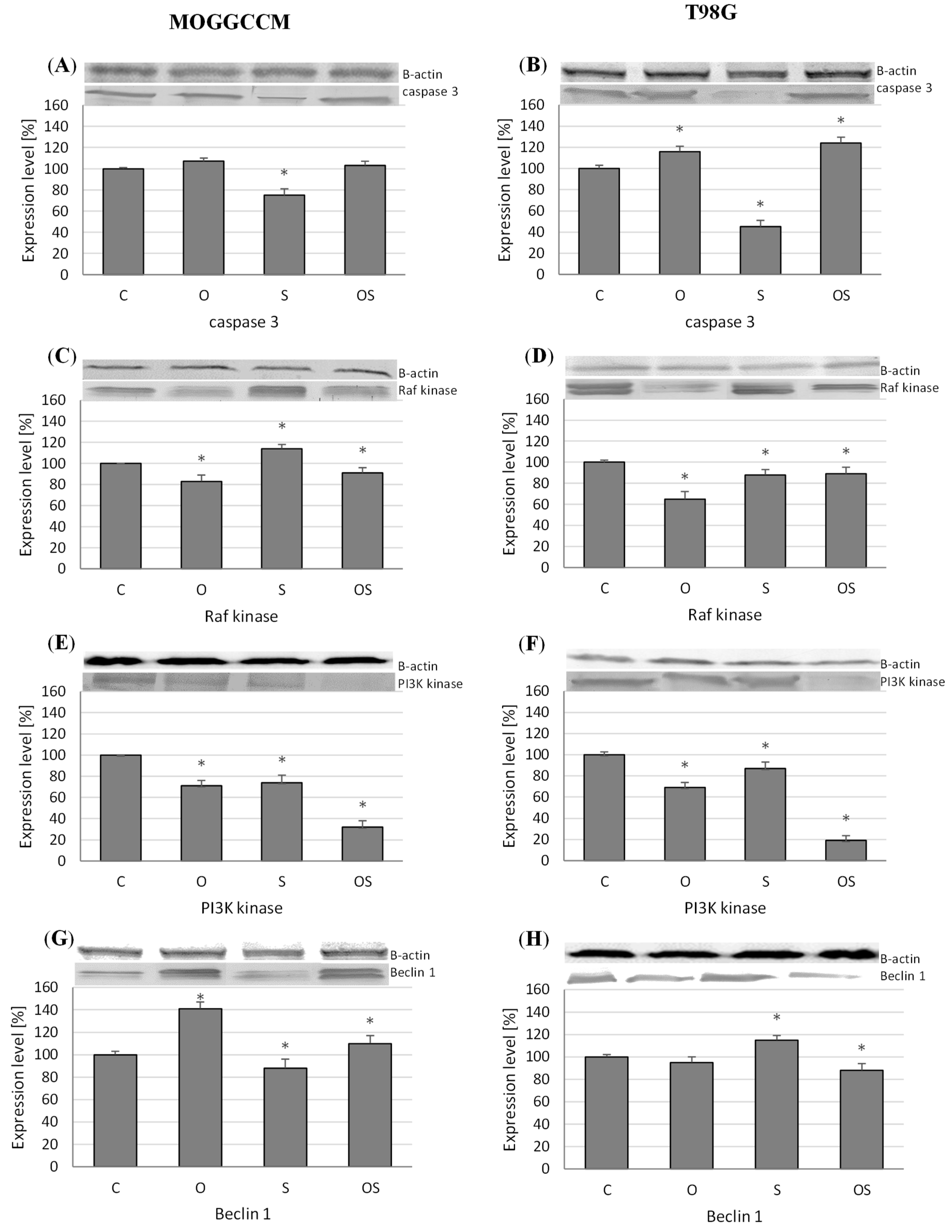 Molecules 25 05192 g004