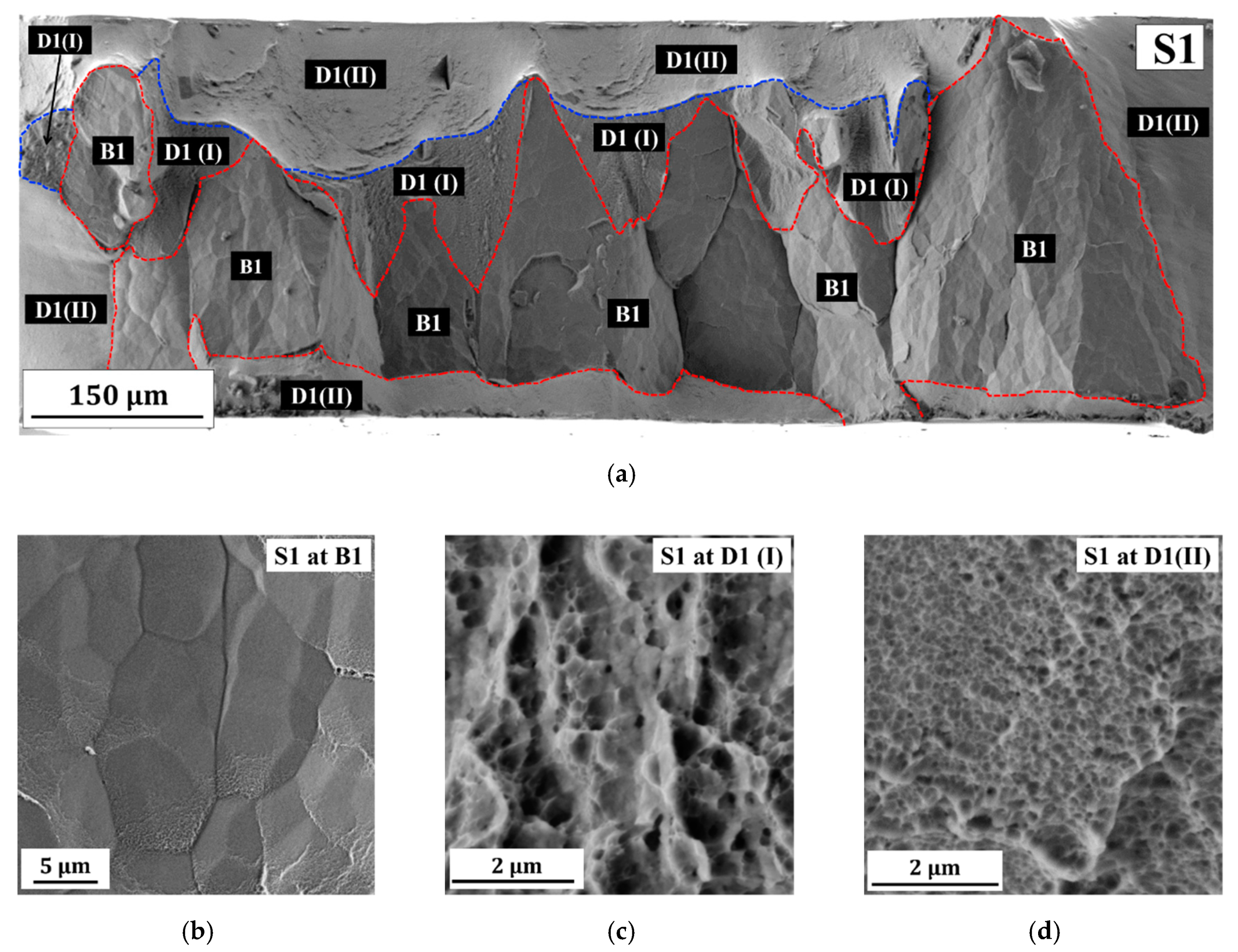 Molecules 25 05194 g004