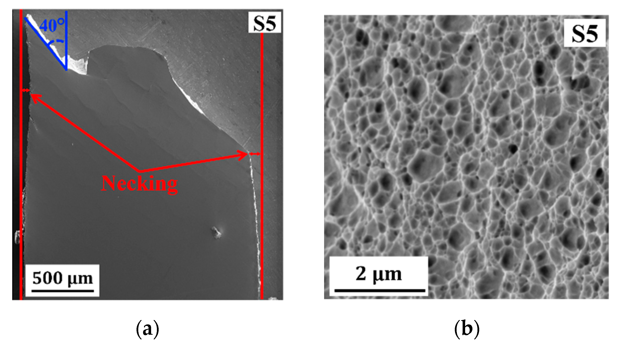 Molecules 25 05194 g006