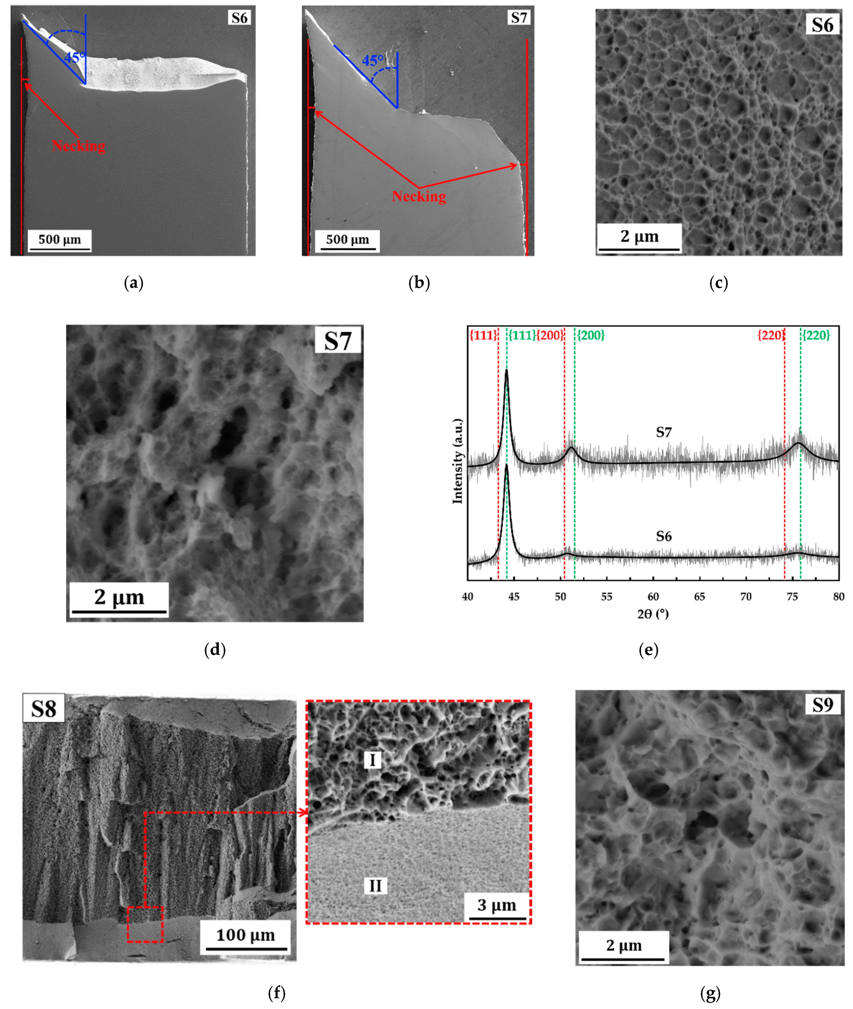 Molecules 25 05194 g008