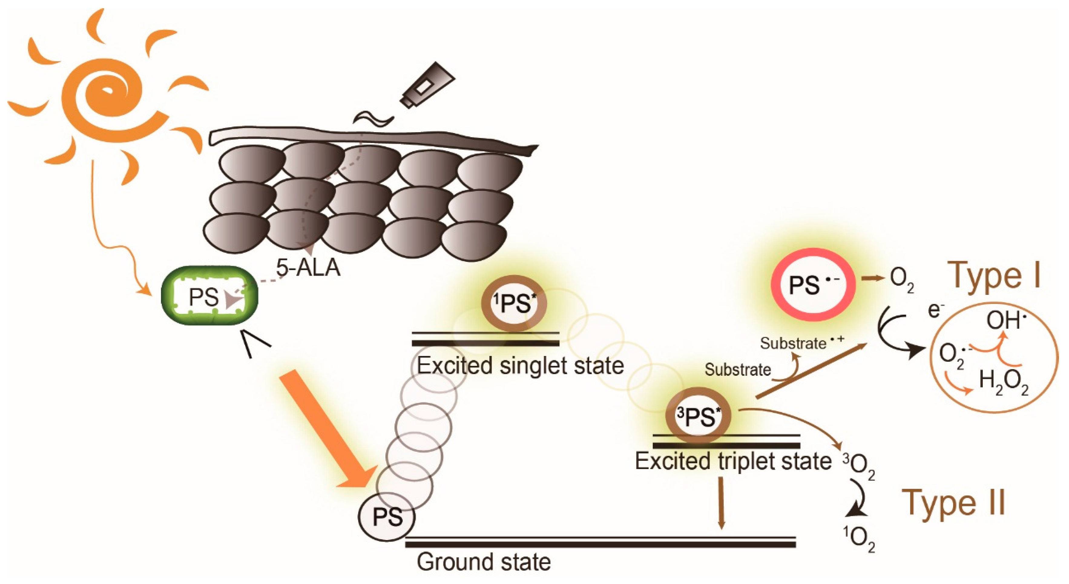 Molecules 25 05195 g001